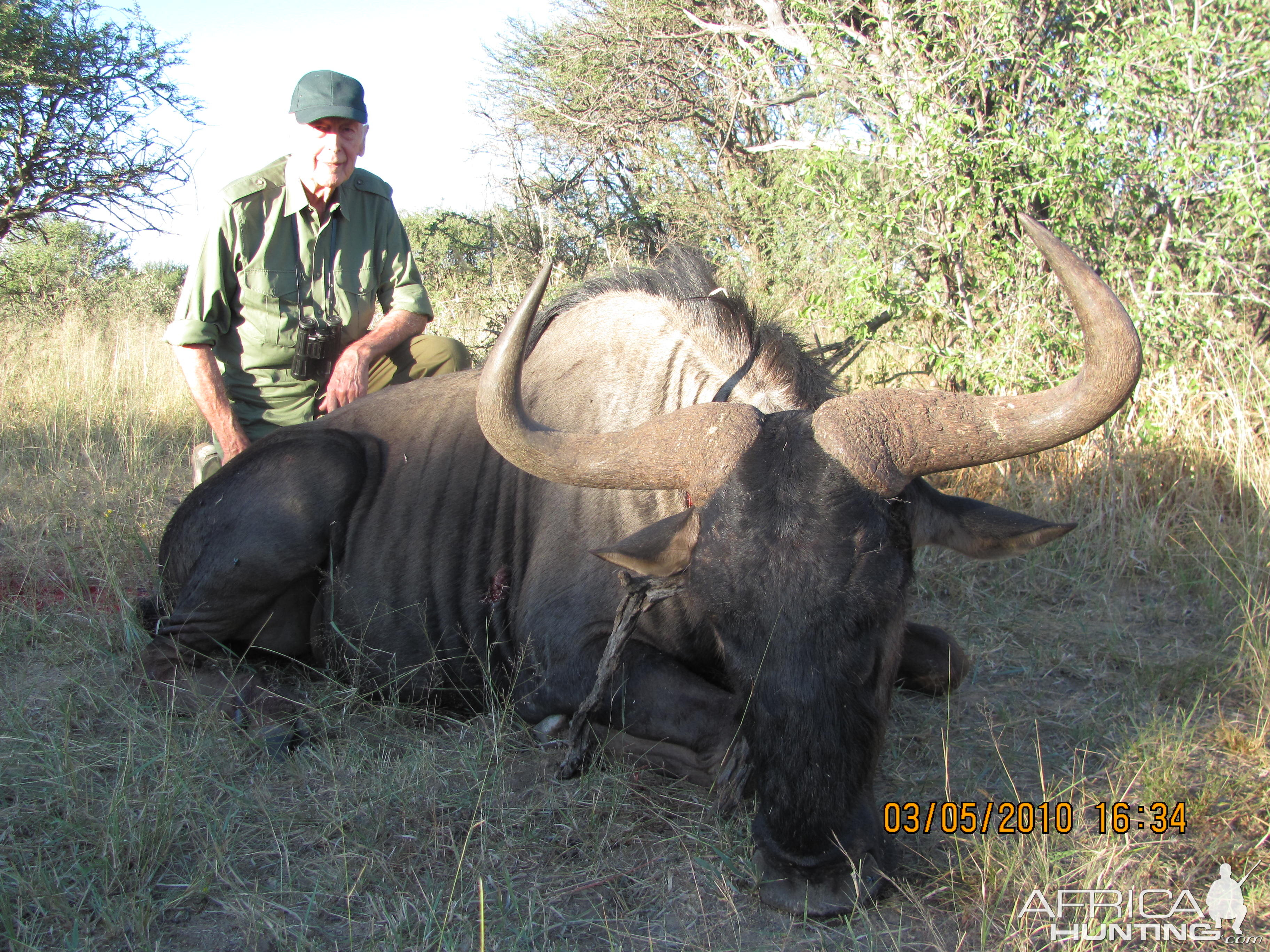 Hunting Blue Wildebeest in Namibia