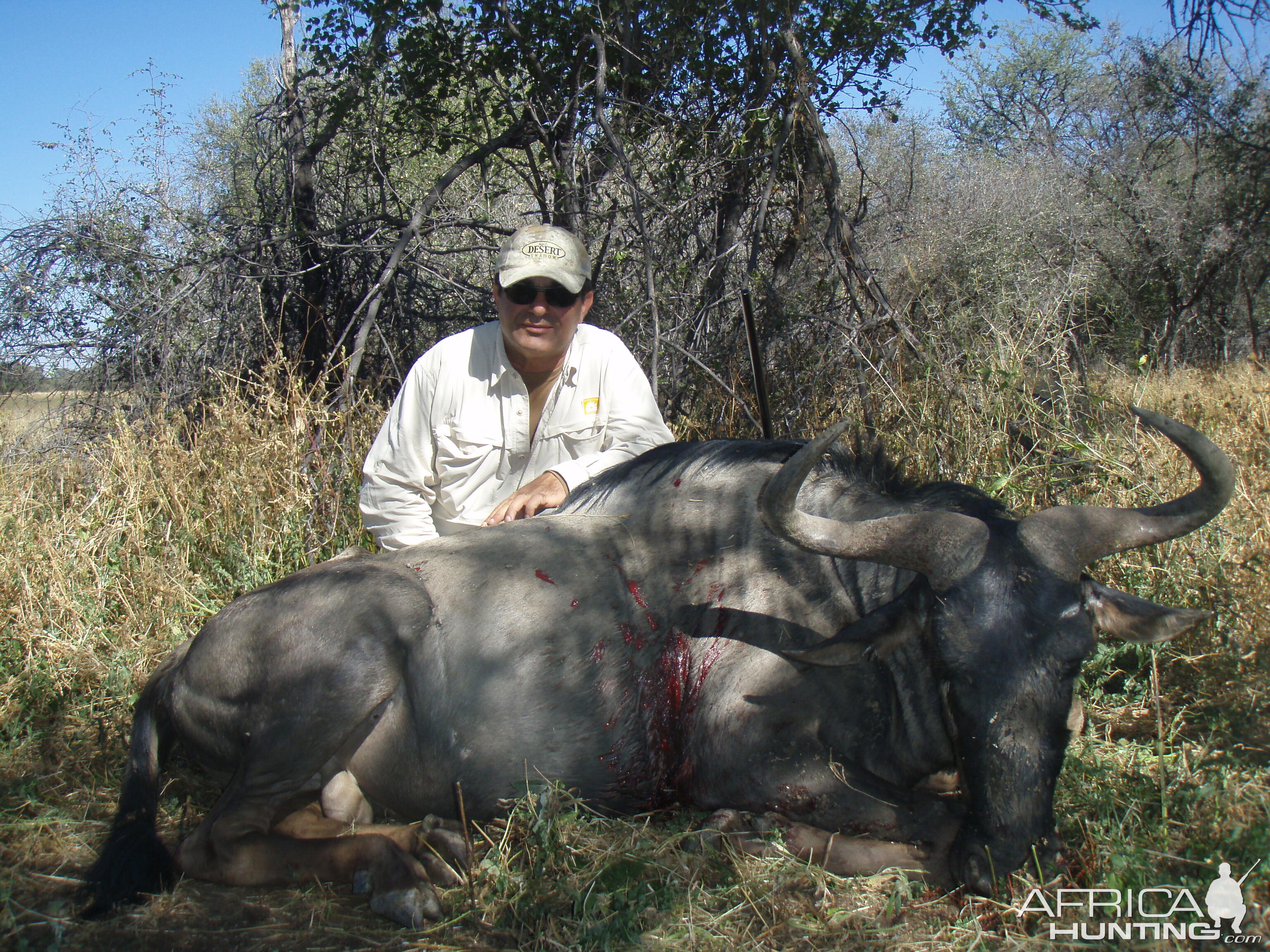 Hunting Blue Wildebeest in Namibia