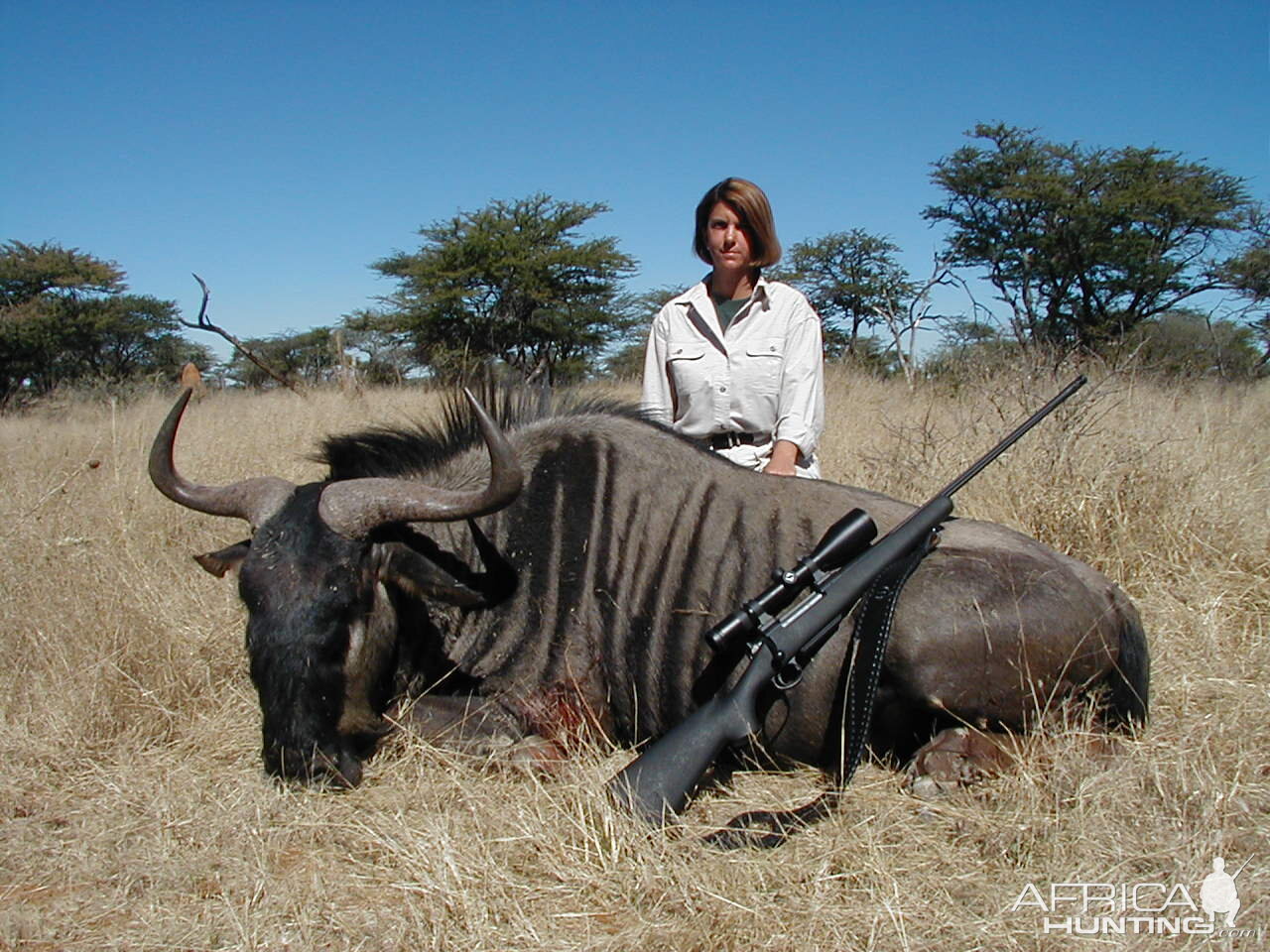 Hunting Blue Wildebeest in Namibia