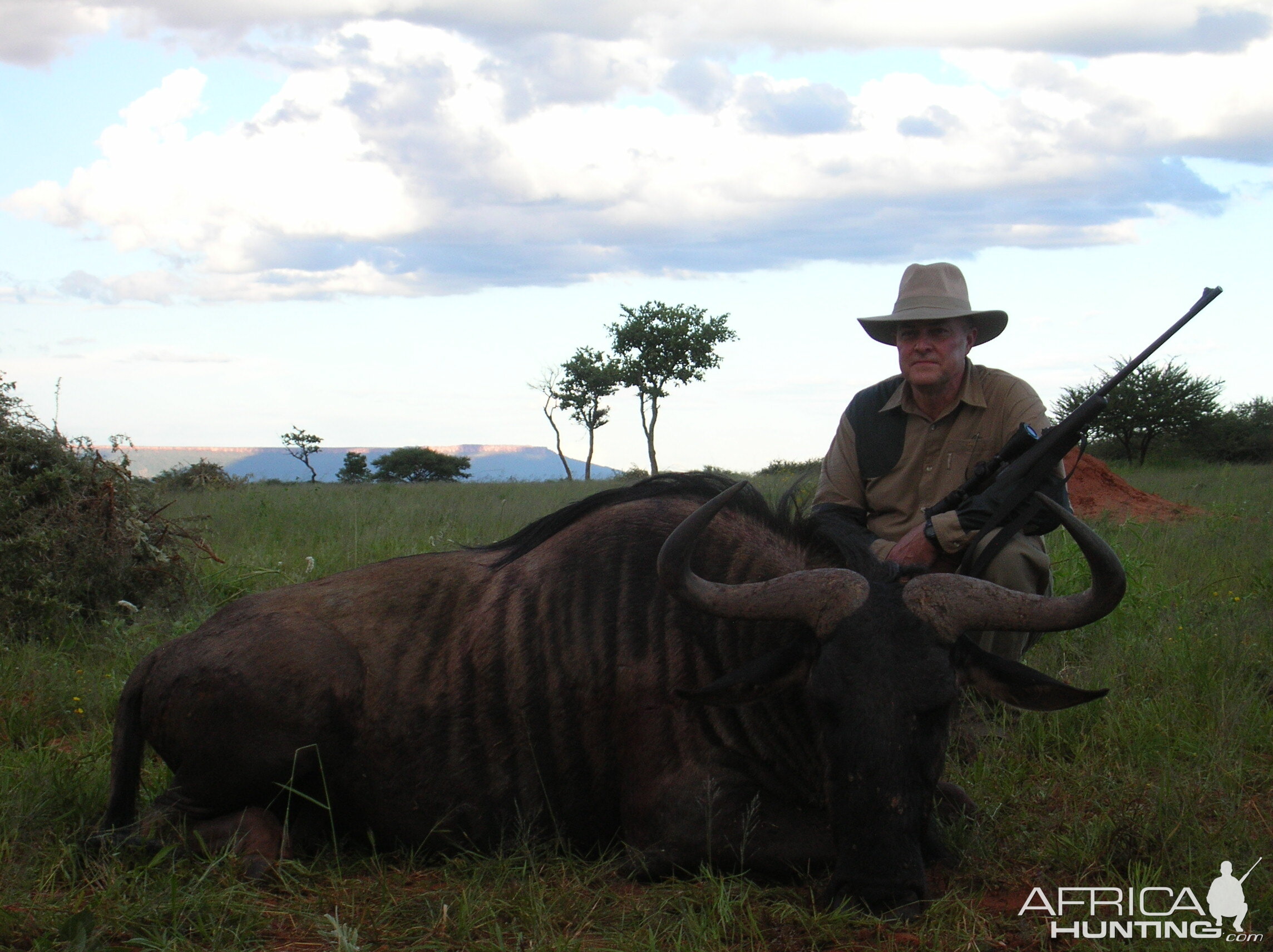 Hunting Blue Wildebeest in Namibia