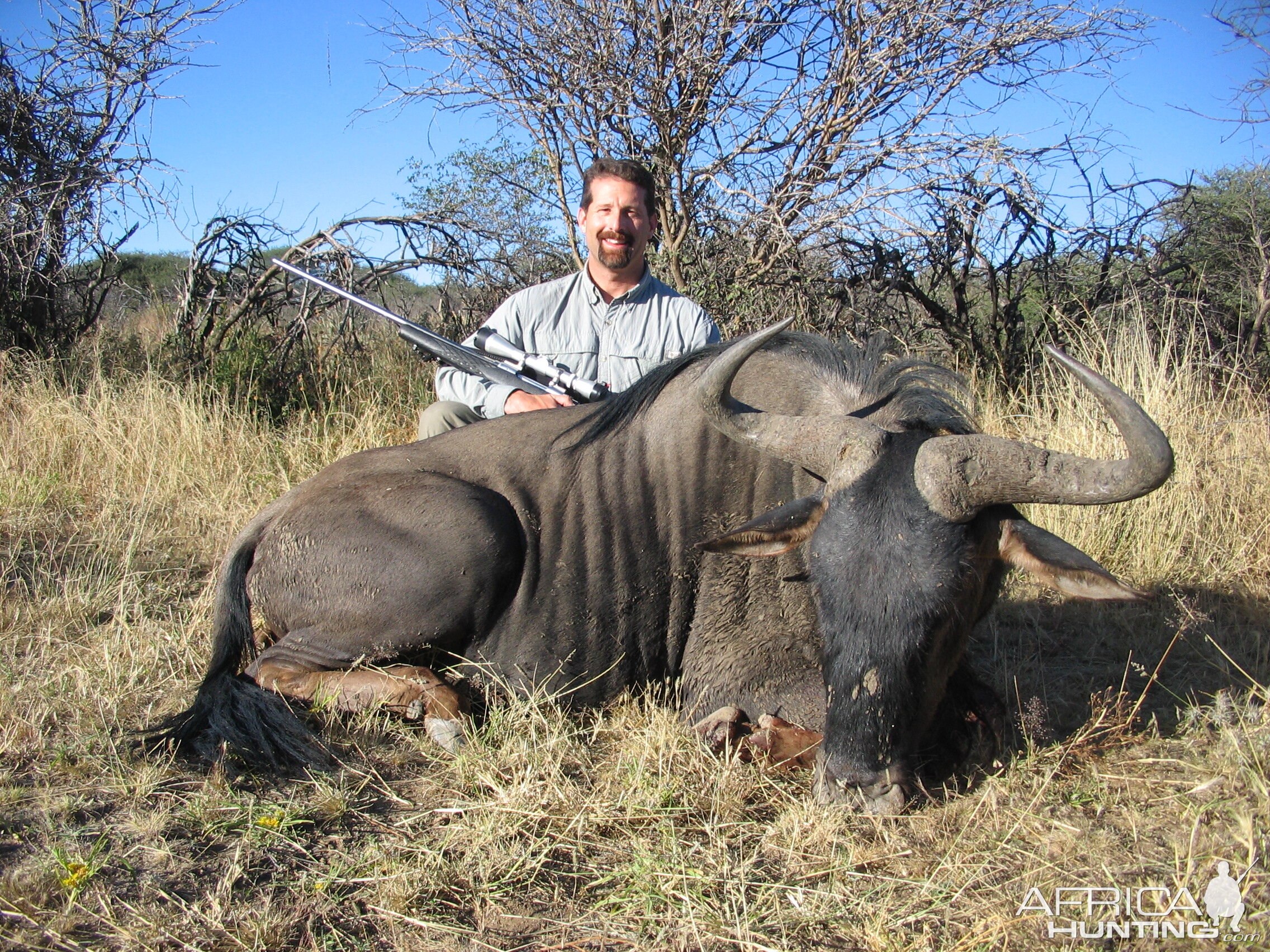 Hunting Blue Wildebeest in Namibia