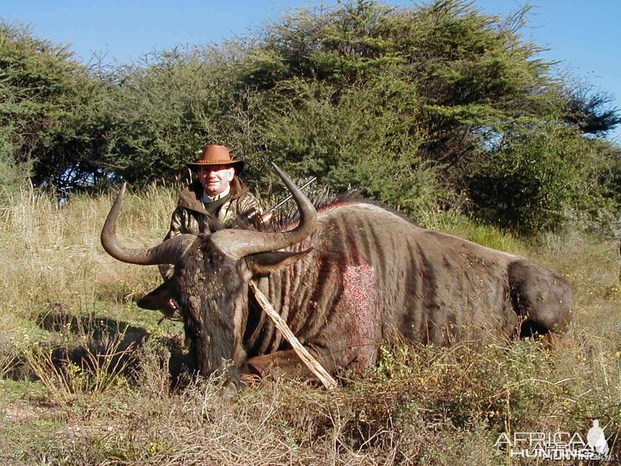 Hunting Blue Wildebeest in Namibia