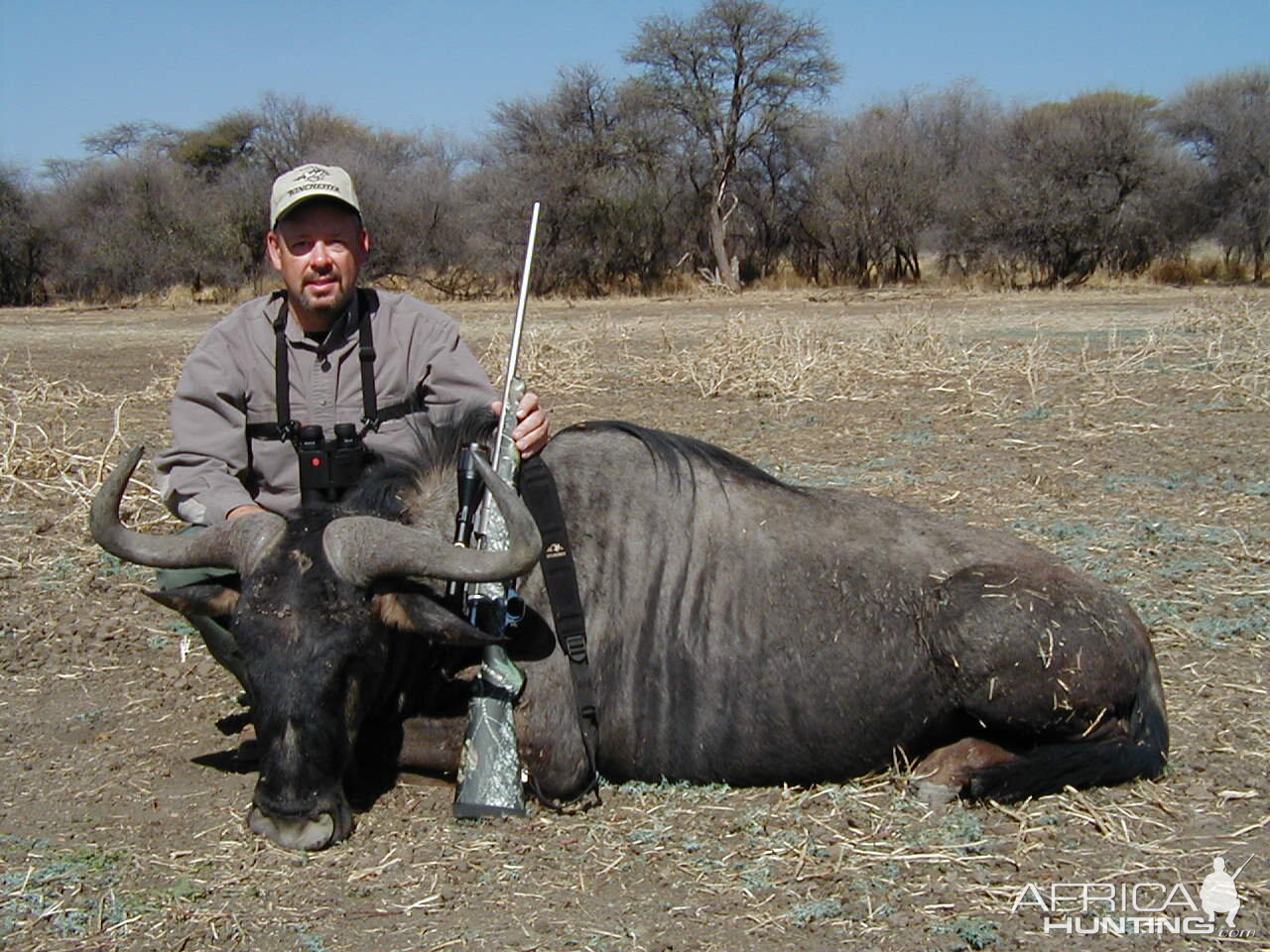 Hunting Blue Wildebeest in Namibia