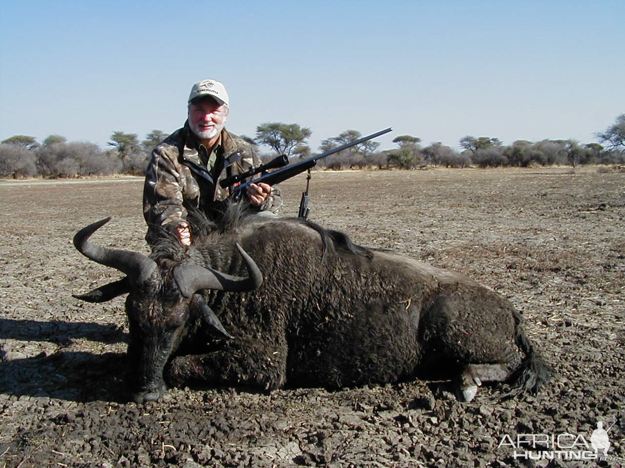 Hunting Blue Wildebeest in Namibia