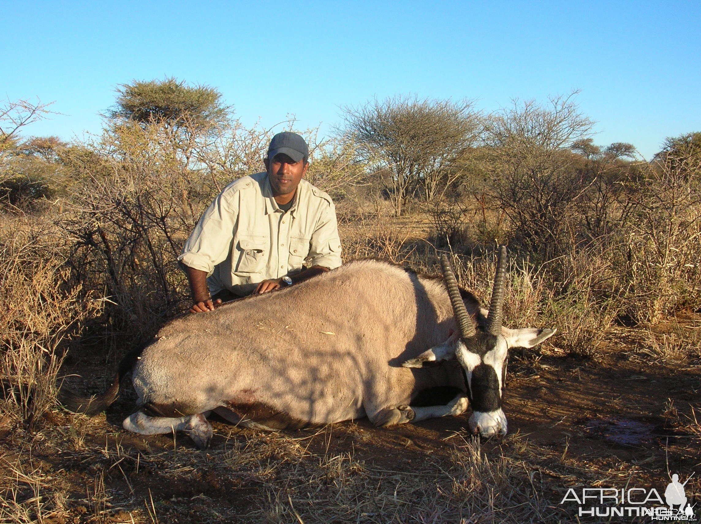 Hunting Blue Wildebeest in Namibia