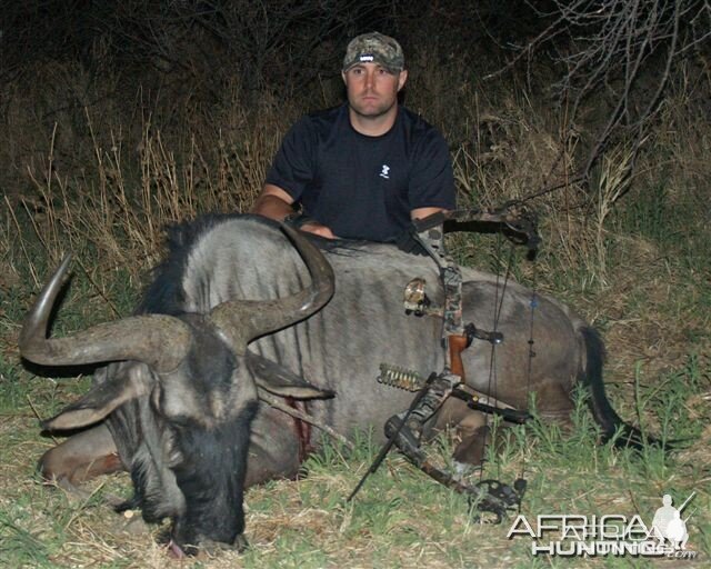 Hunting Blue Wildebeest in Namibia