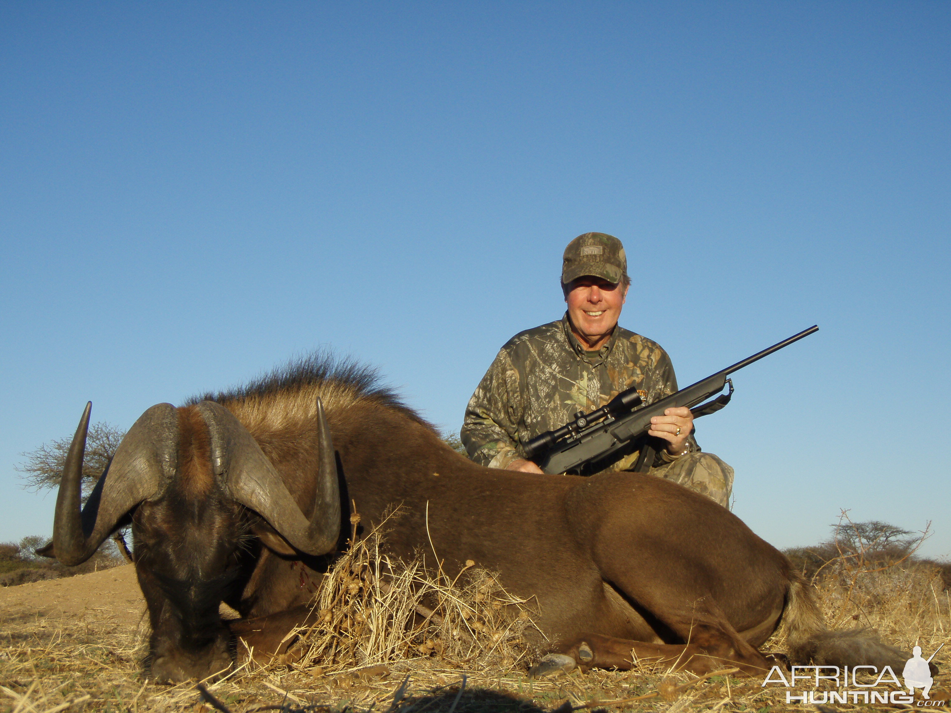 Hunting Blue Wildebeest in Namibia