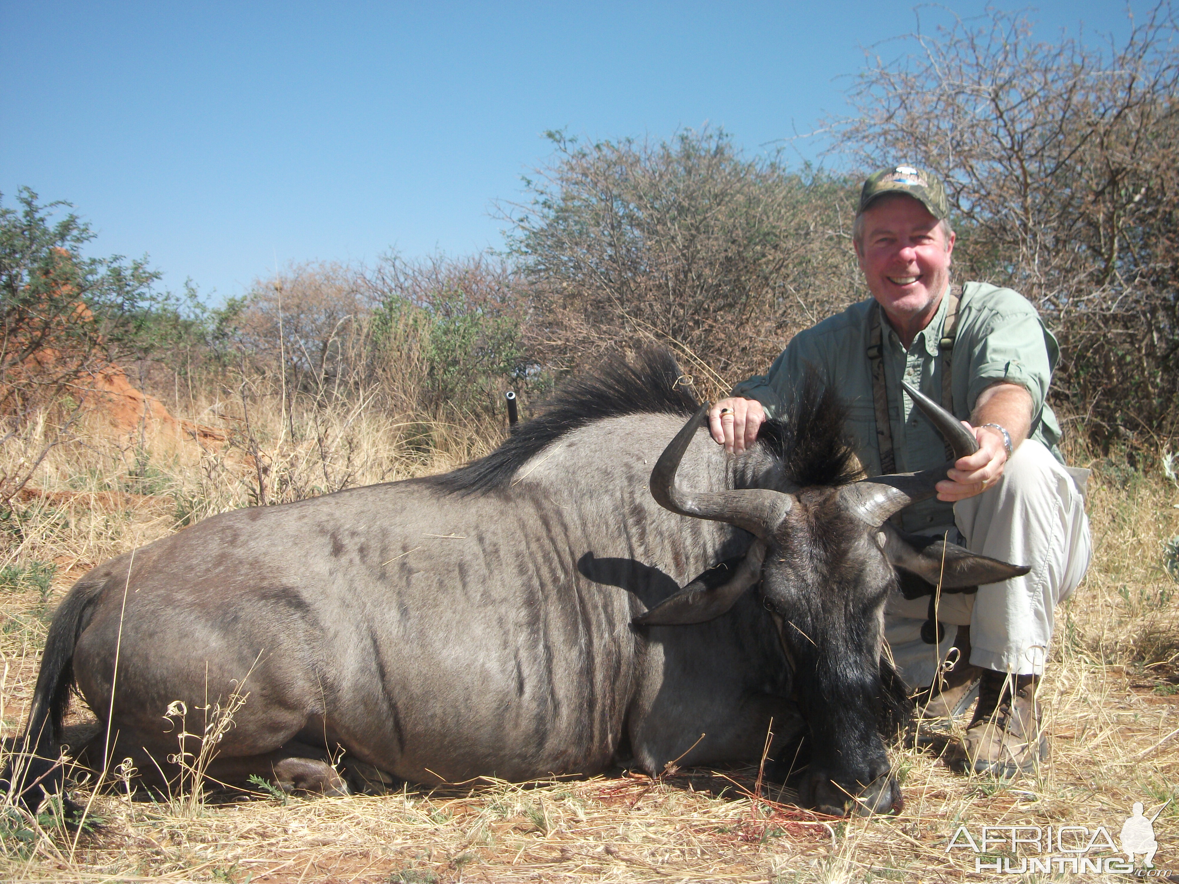 Hunting Blue Wildebeest in Namibia