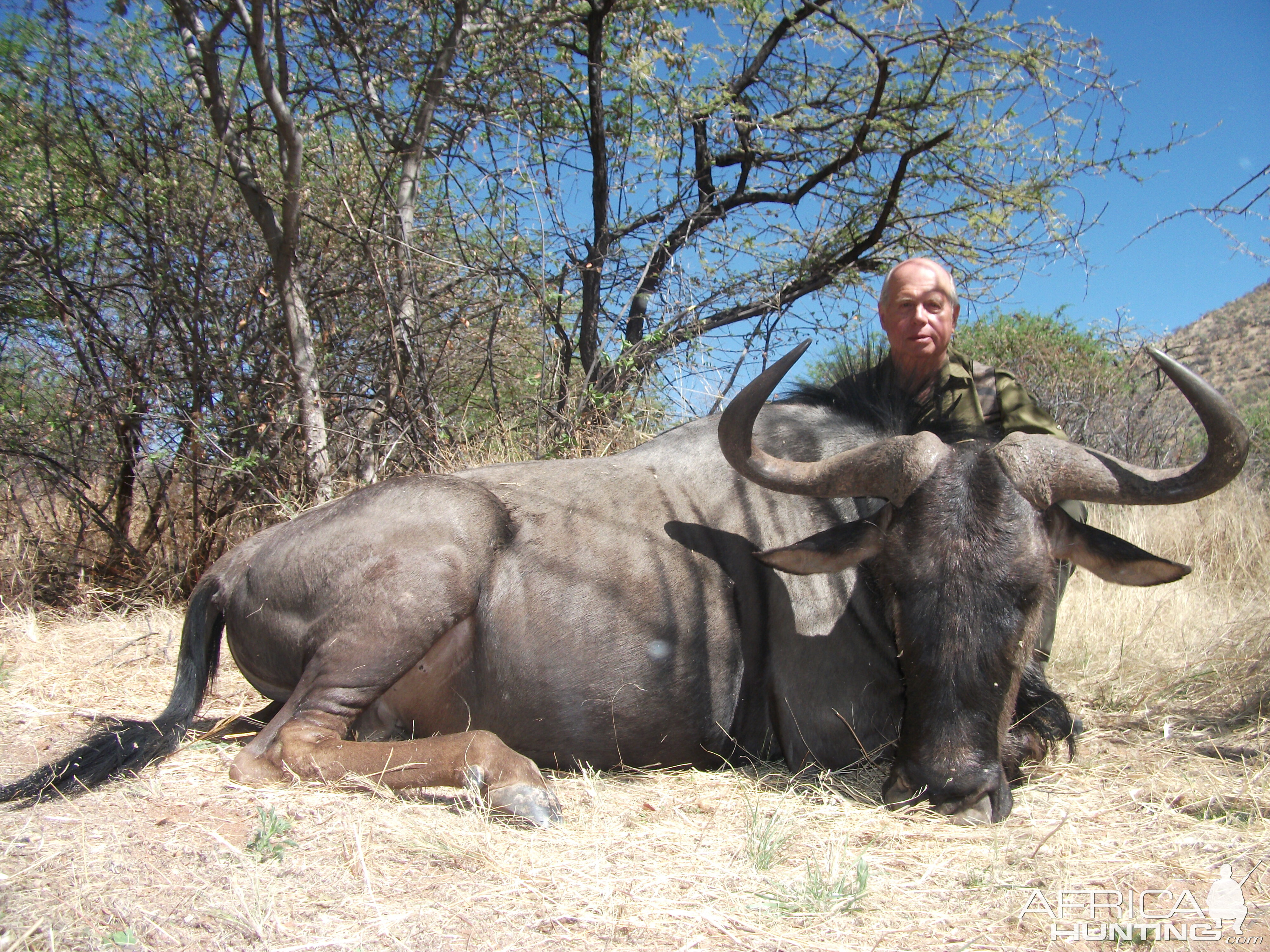 Hunting Blue Wildebeest in Namibia