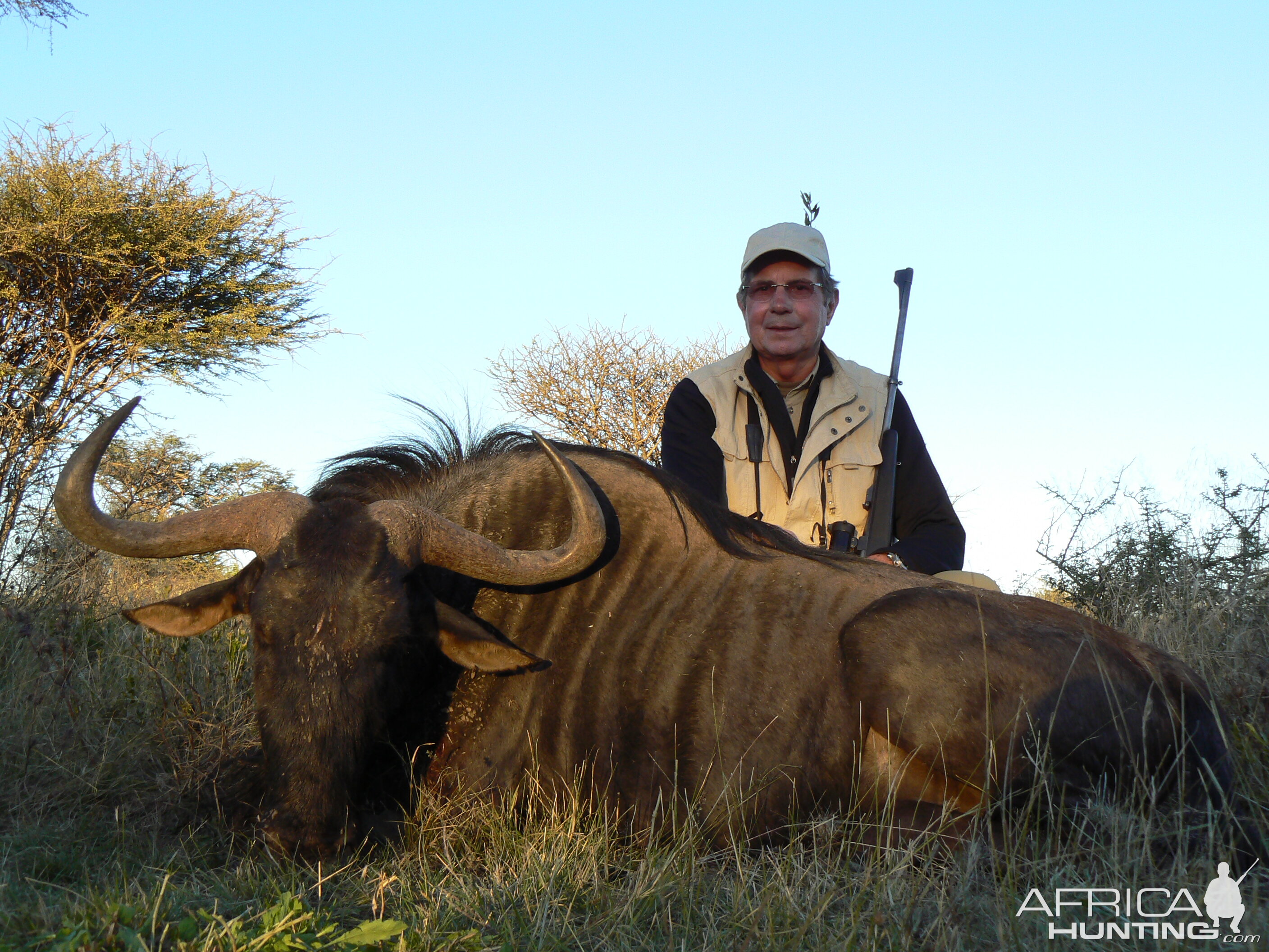 Hunting Blue Wildebeest in Namibia