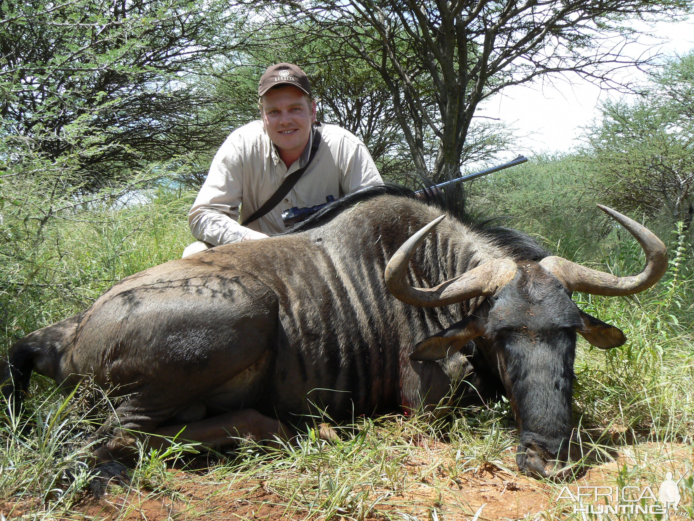 Hunting Blue Wildebeest in Namibia