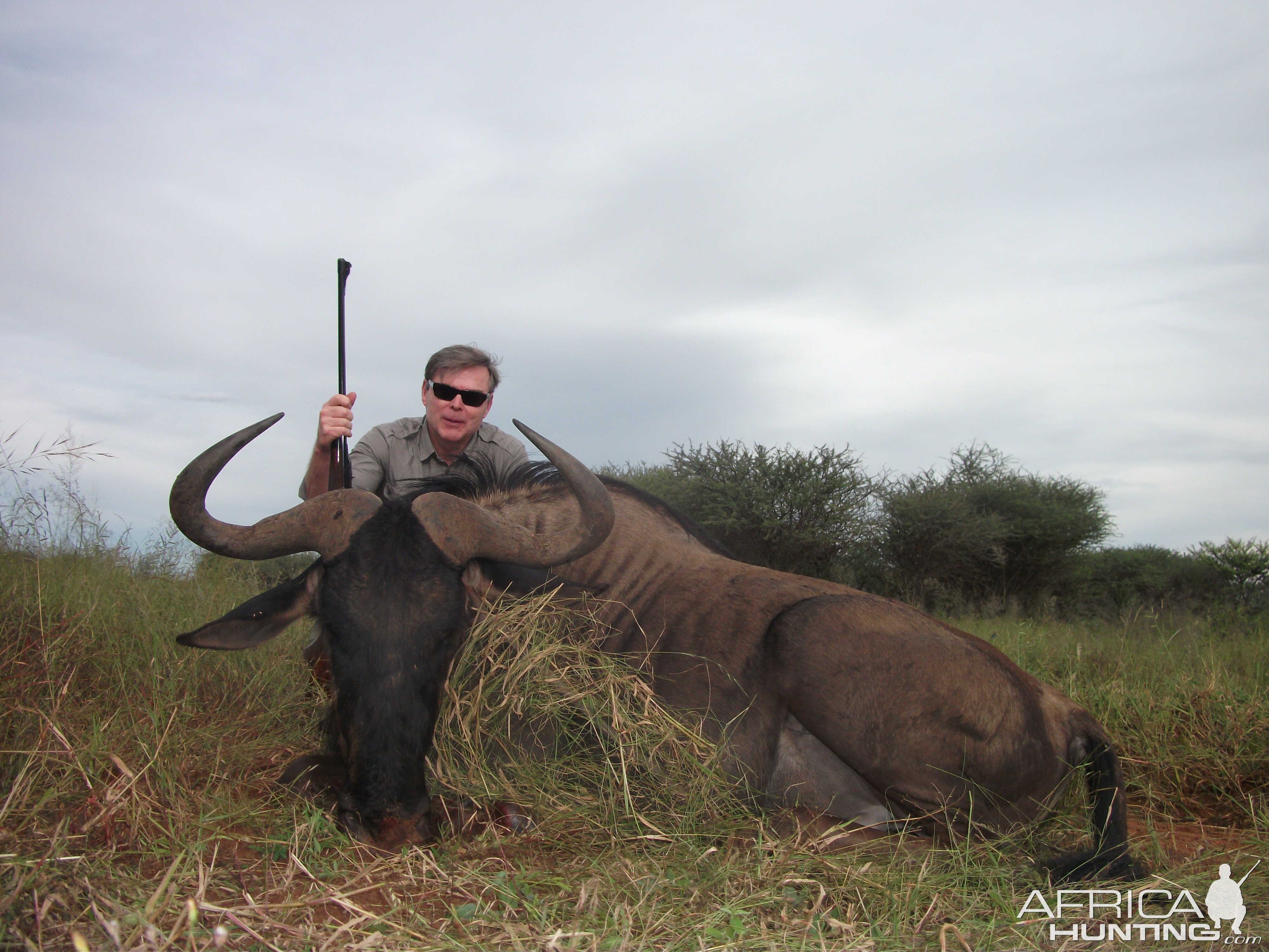 Hunting Blue Wildebeest in Namibia