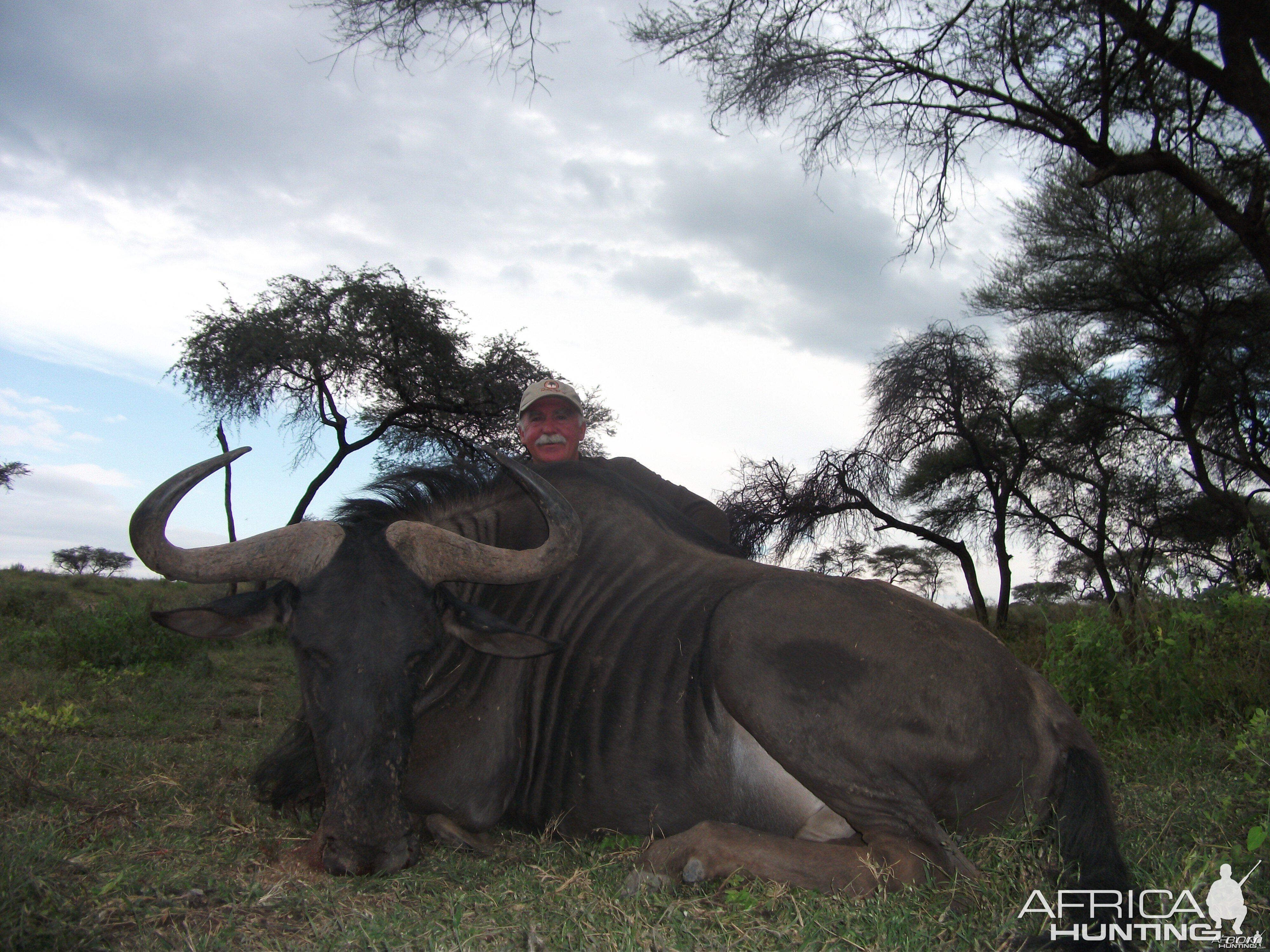 Hunting Blue Wildebeest in Namibia