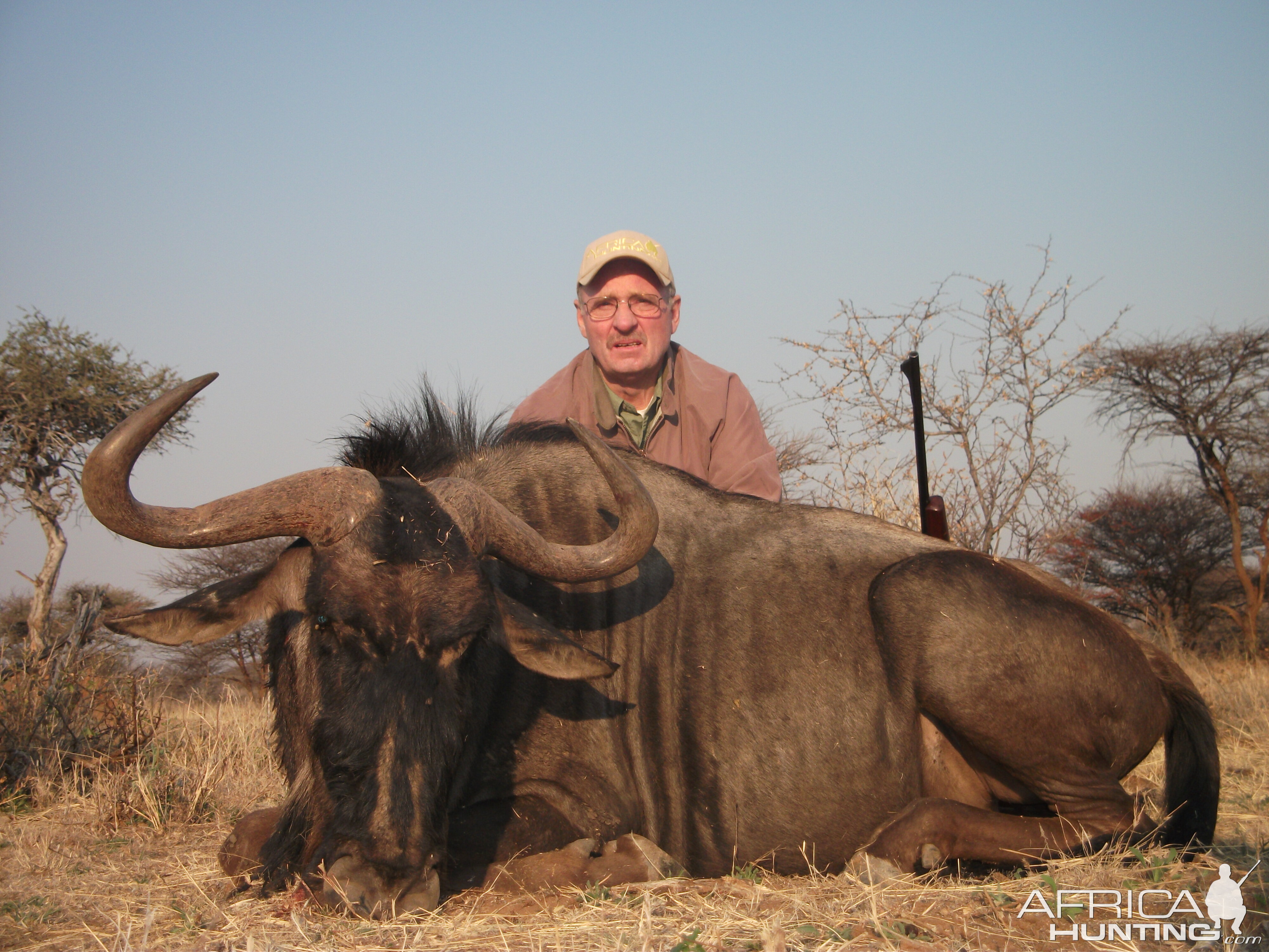 Hunting Blue Wildebeest in Namibia