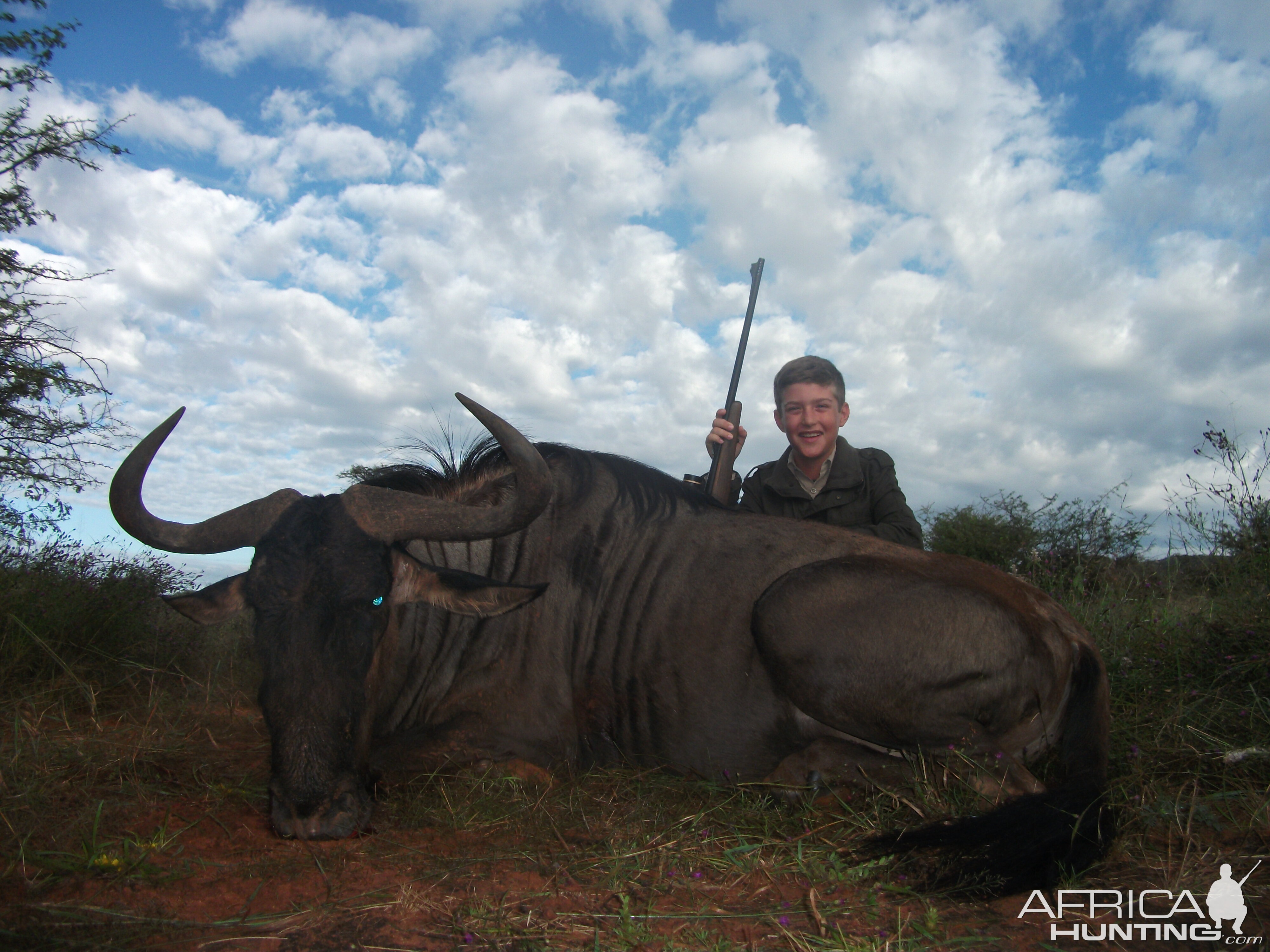 Hunting Blue Wildebeest in Namibia