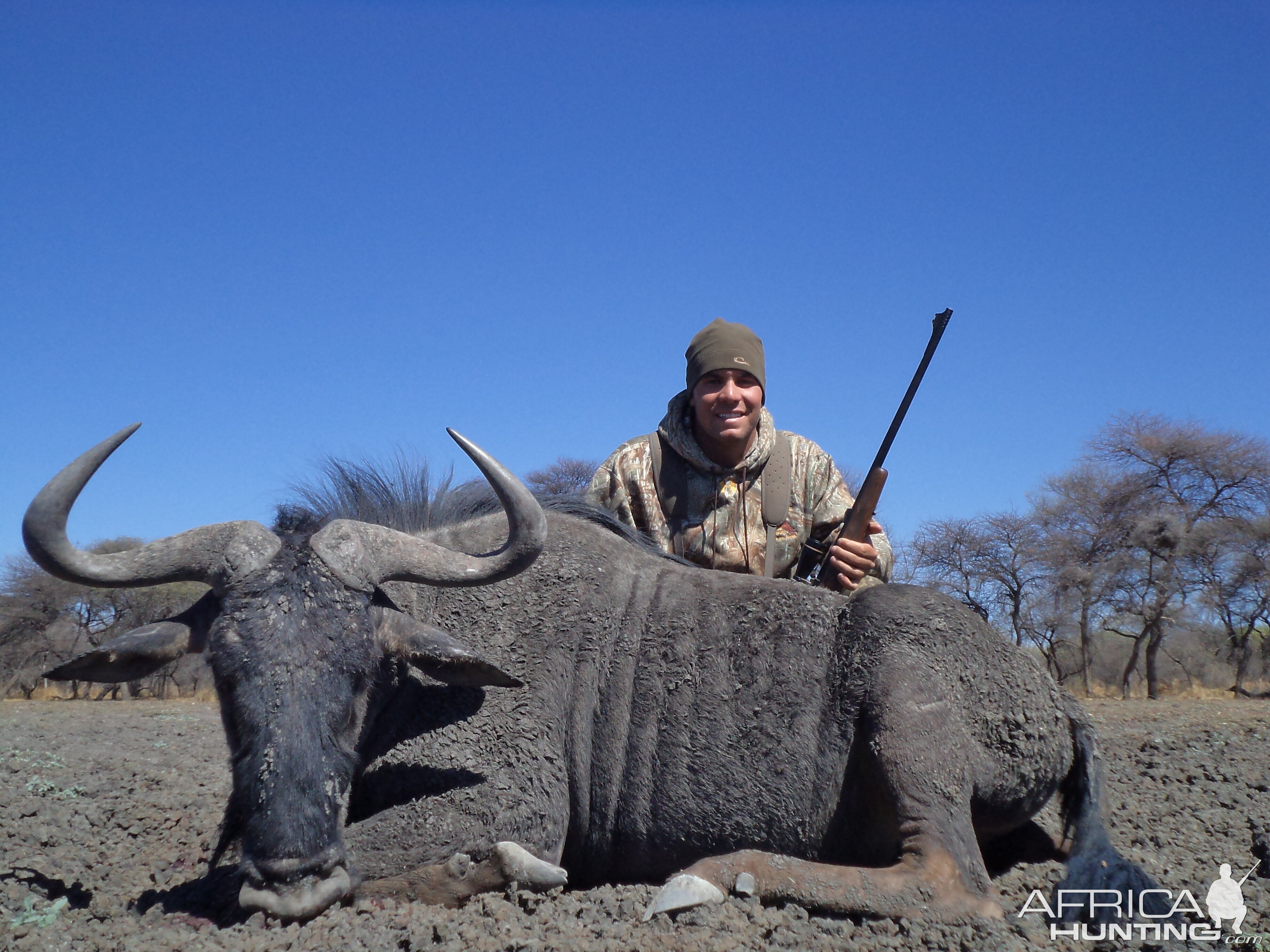 Hunting Blue Wildebeest in Namibia