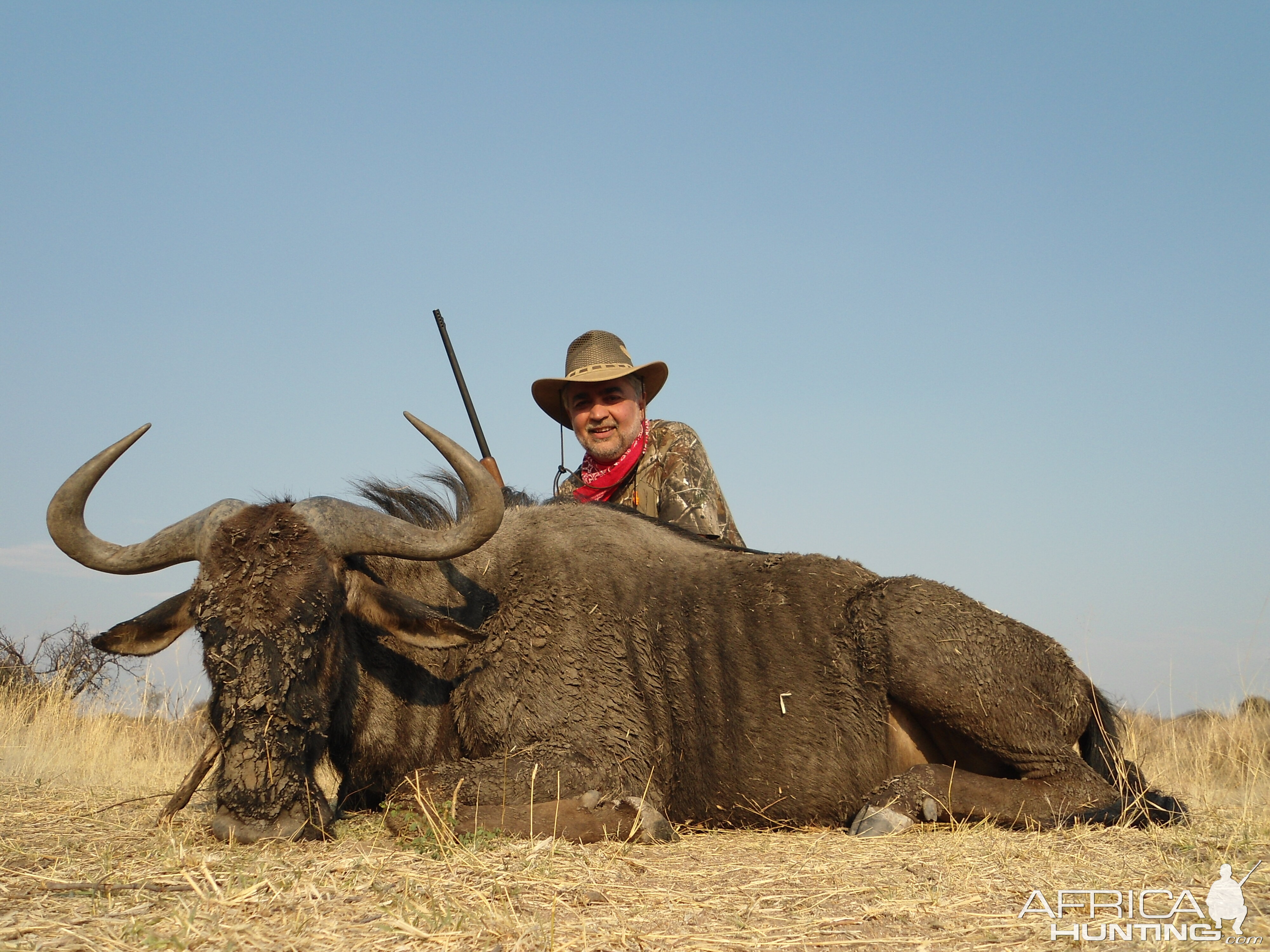 Hunting Blue Wildebeest in Namibia