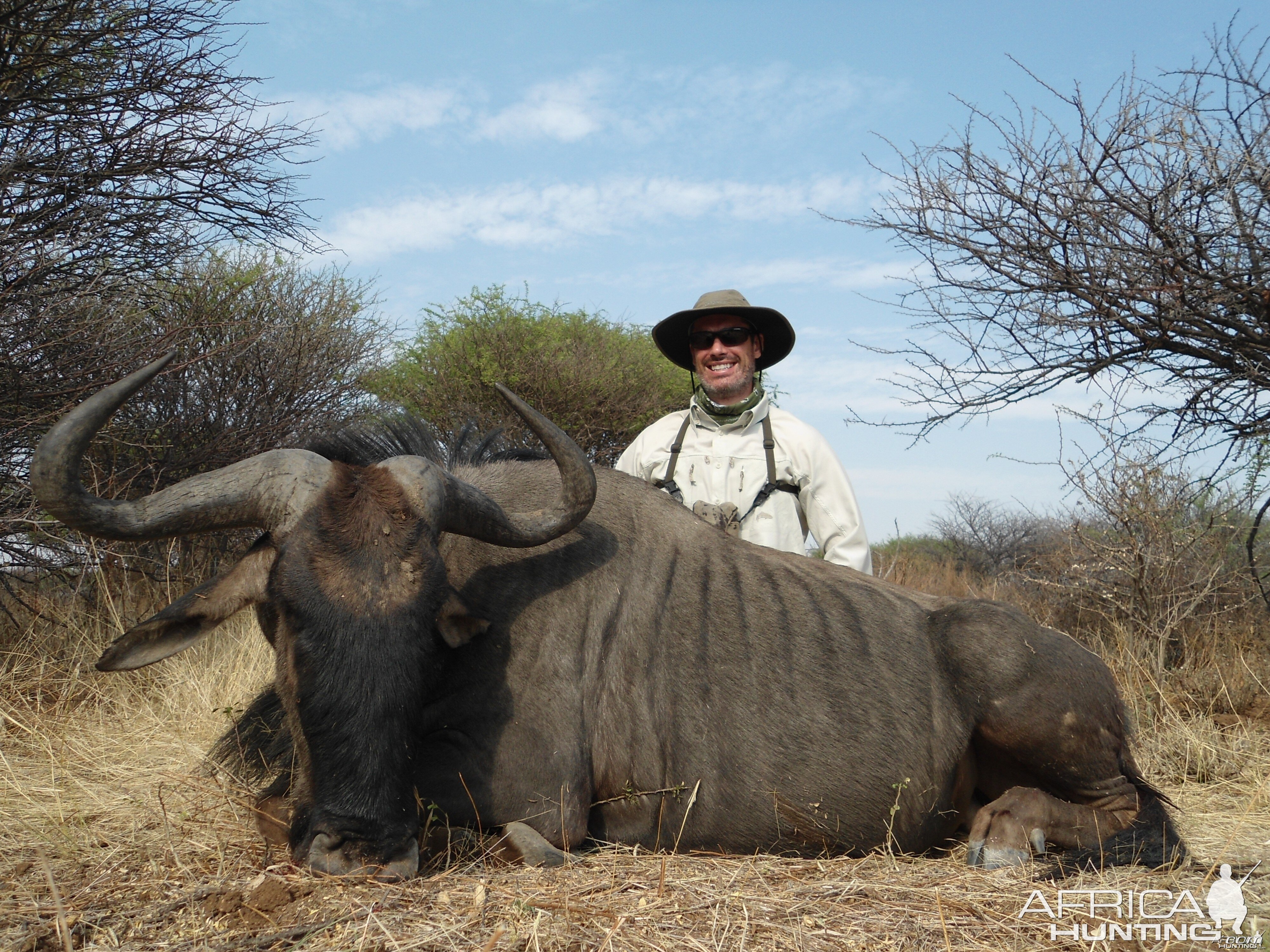 Hunting Blue Wildebeest in Namibia