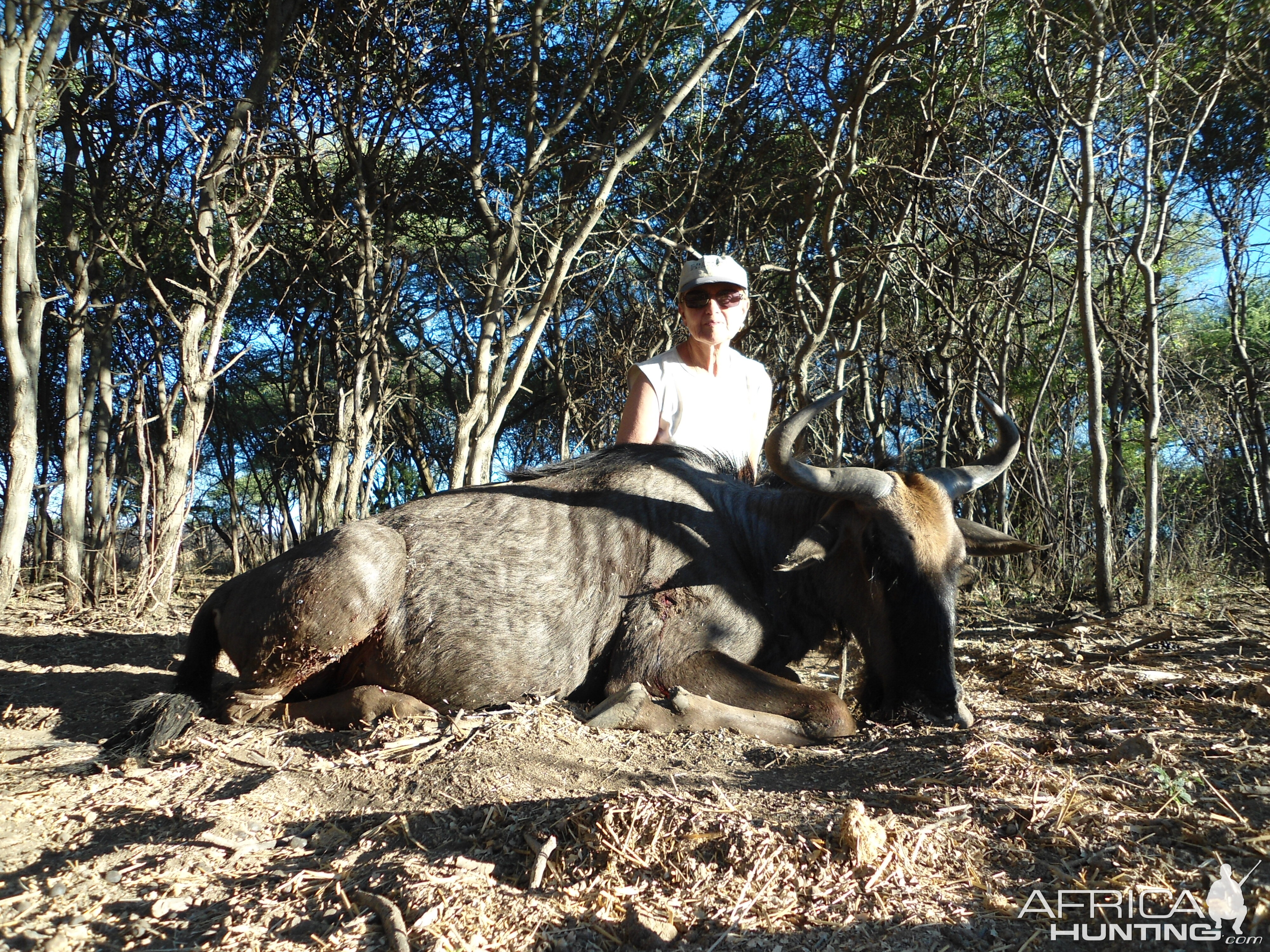 Hunting Blue Wildebeest in Namibia