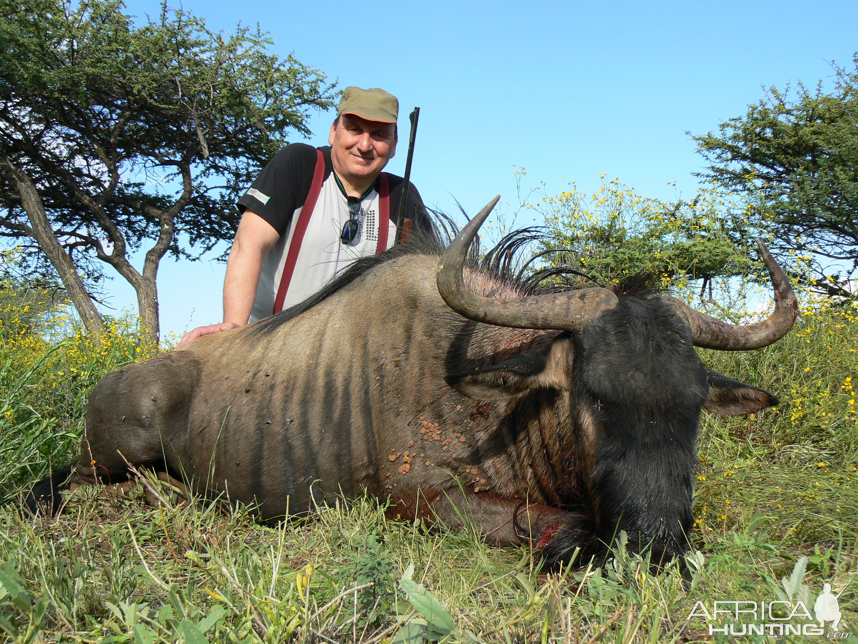 Hunting Blue Wildebeest in Namibia