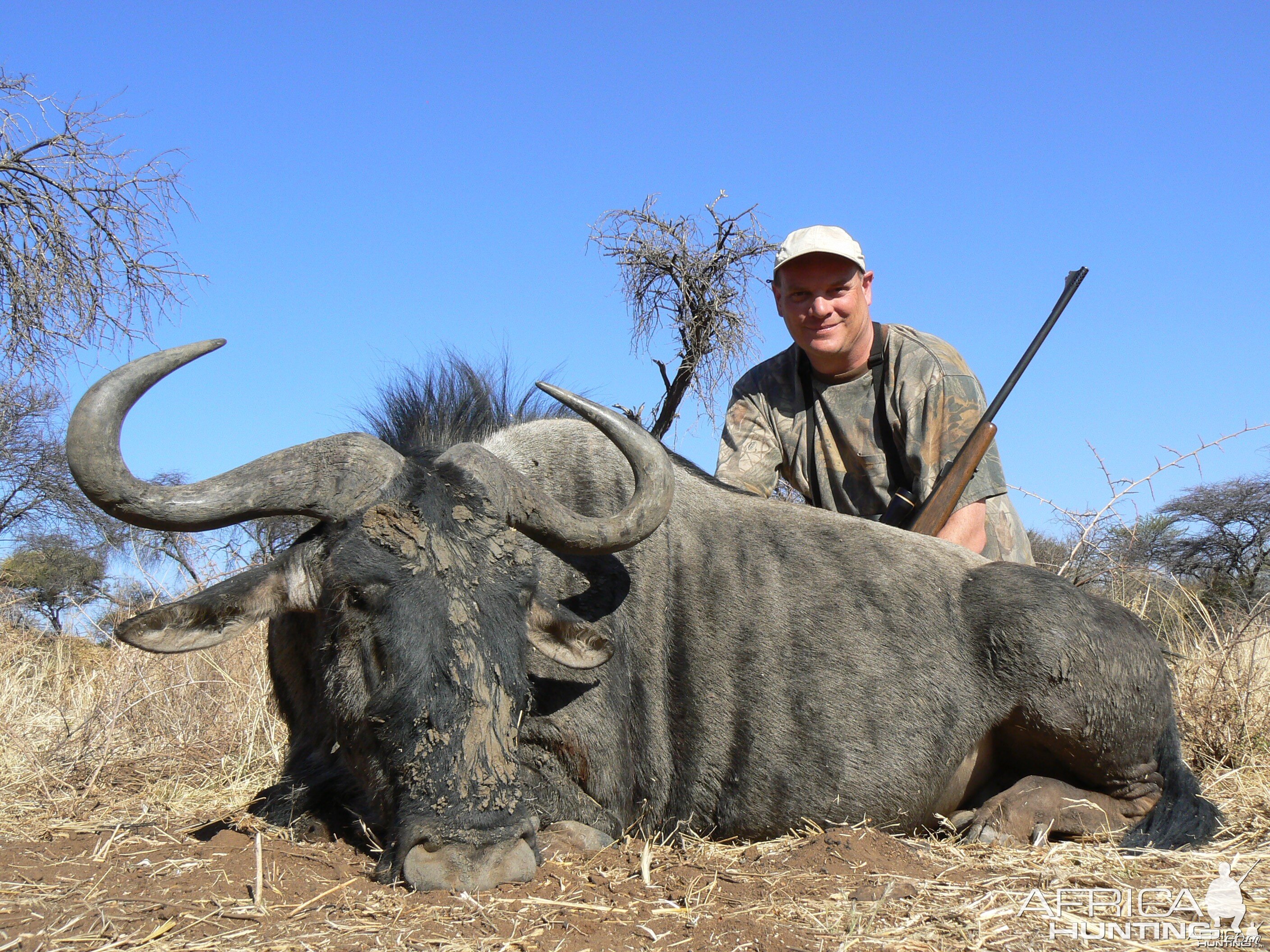 Hunting Blue Wildebeest in Namibia