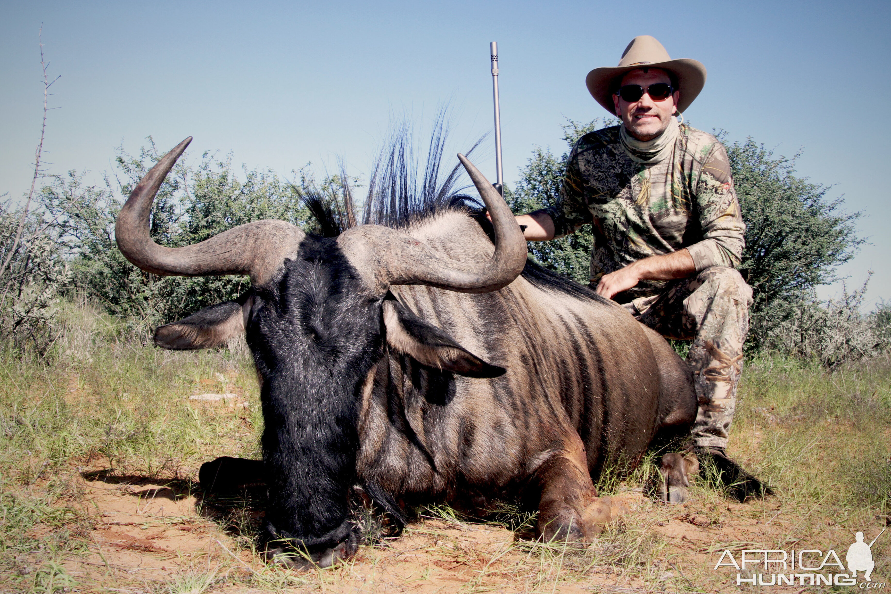 Hunting Blue Wildebeest in Namibia