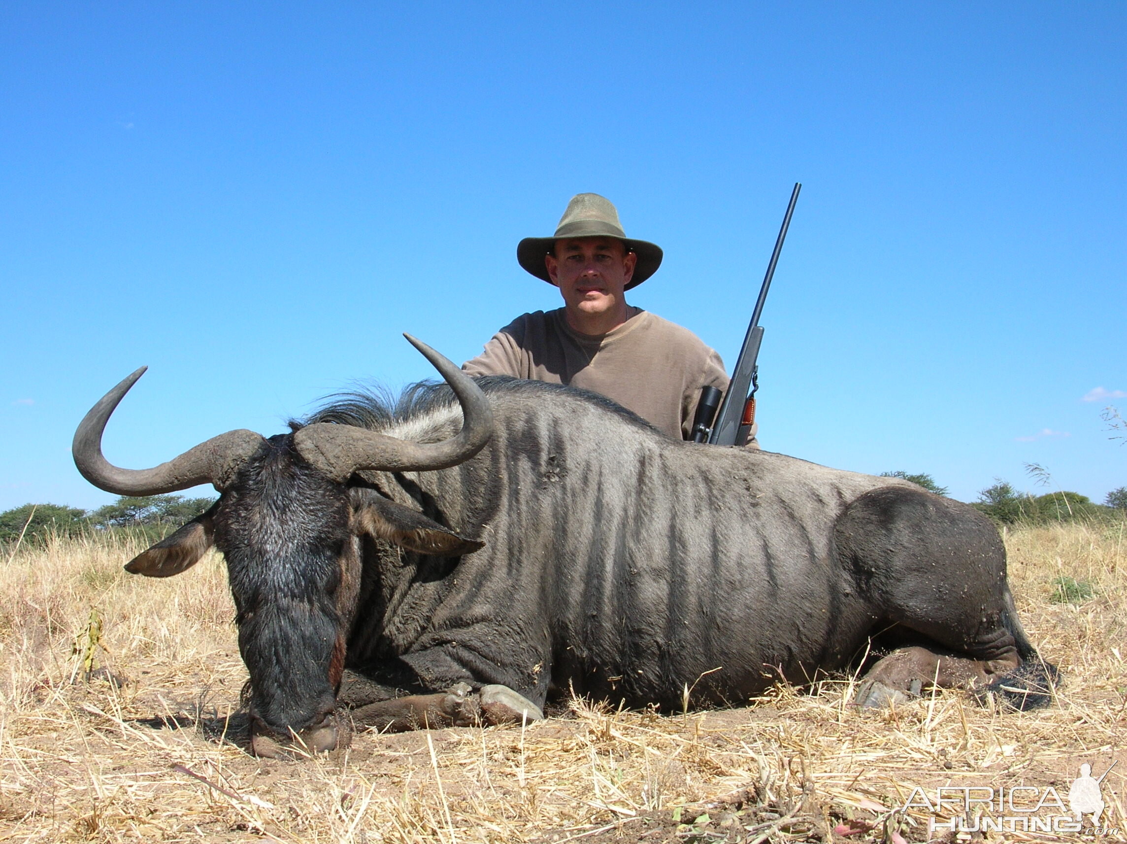 Hunting Blue Wildebeest in Namibia