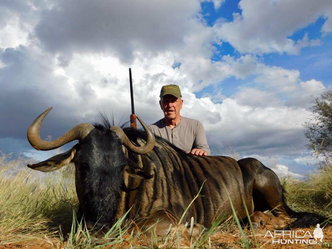 Hunting Blue Wildebeest in Namibia