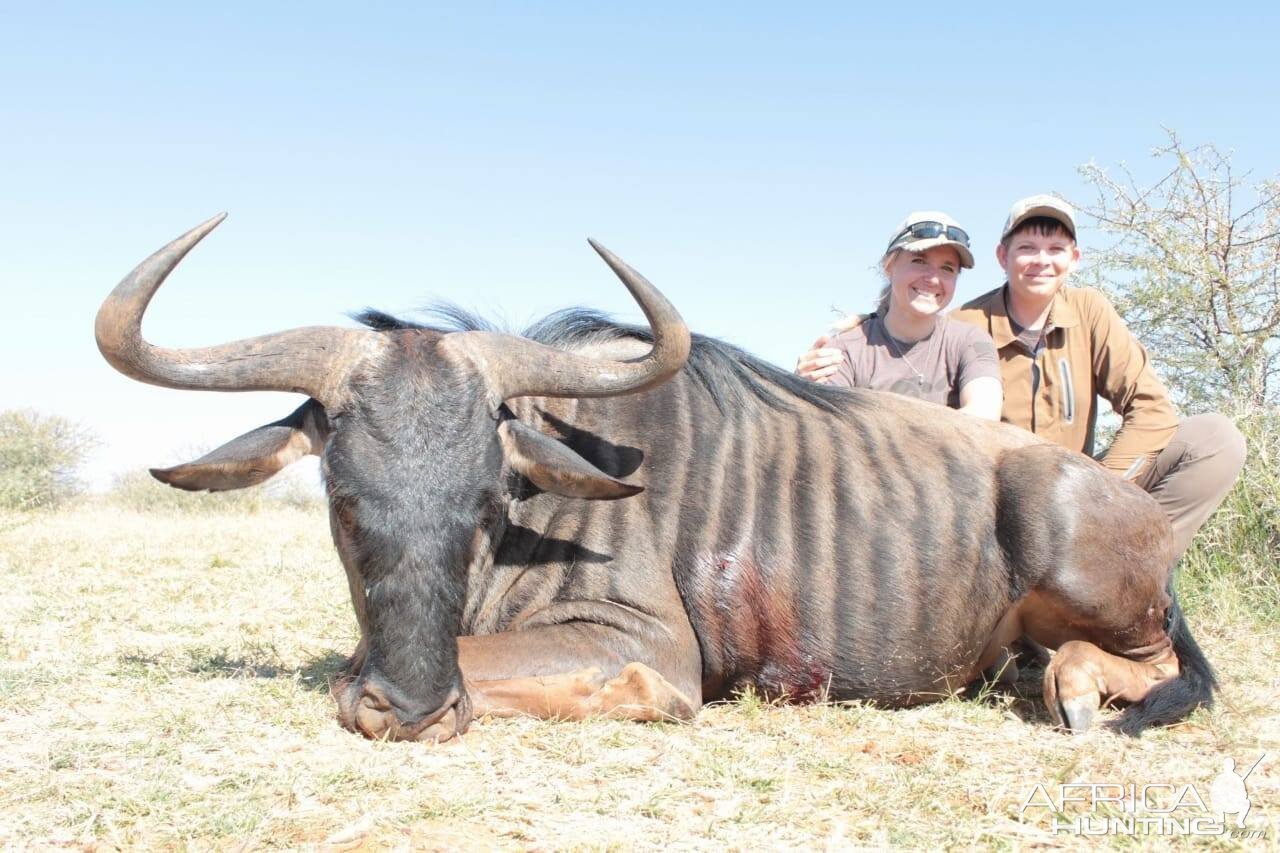 Hunting Blue Wildebeest in South Africa