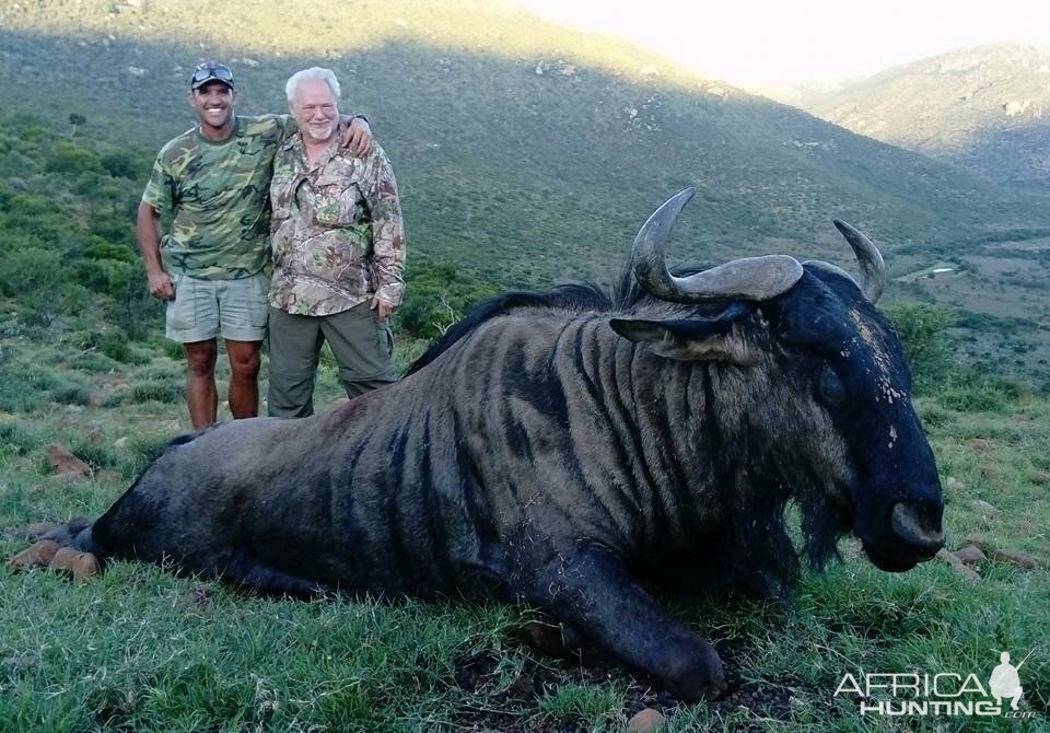 Hunting Blue Wildebeest in South Africa