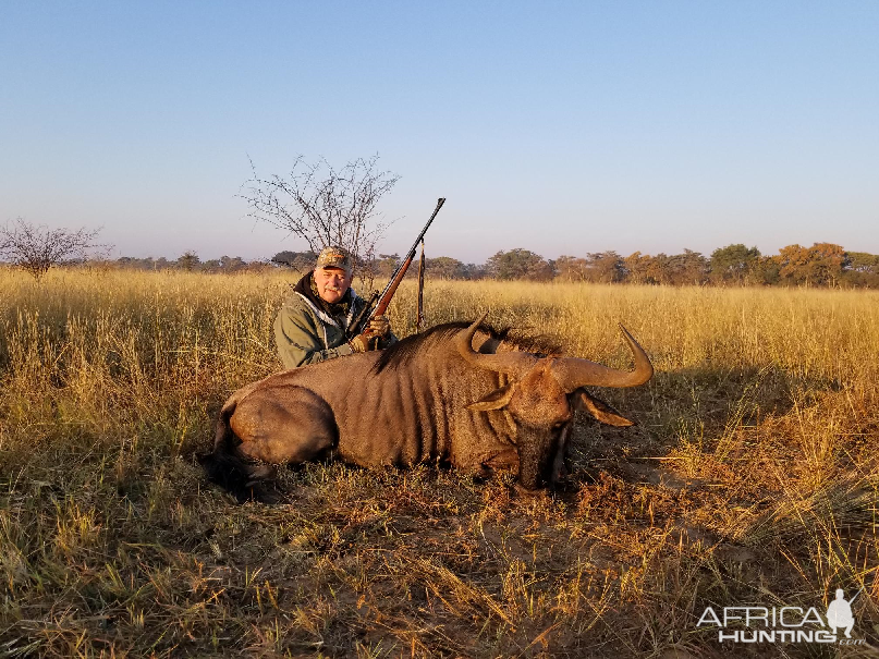 Hunting Blue Wildebeest in South Africa