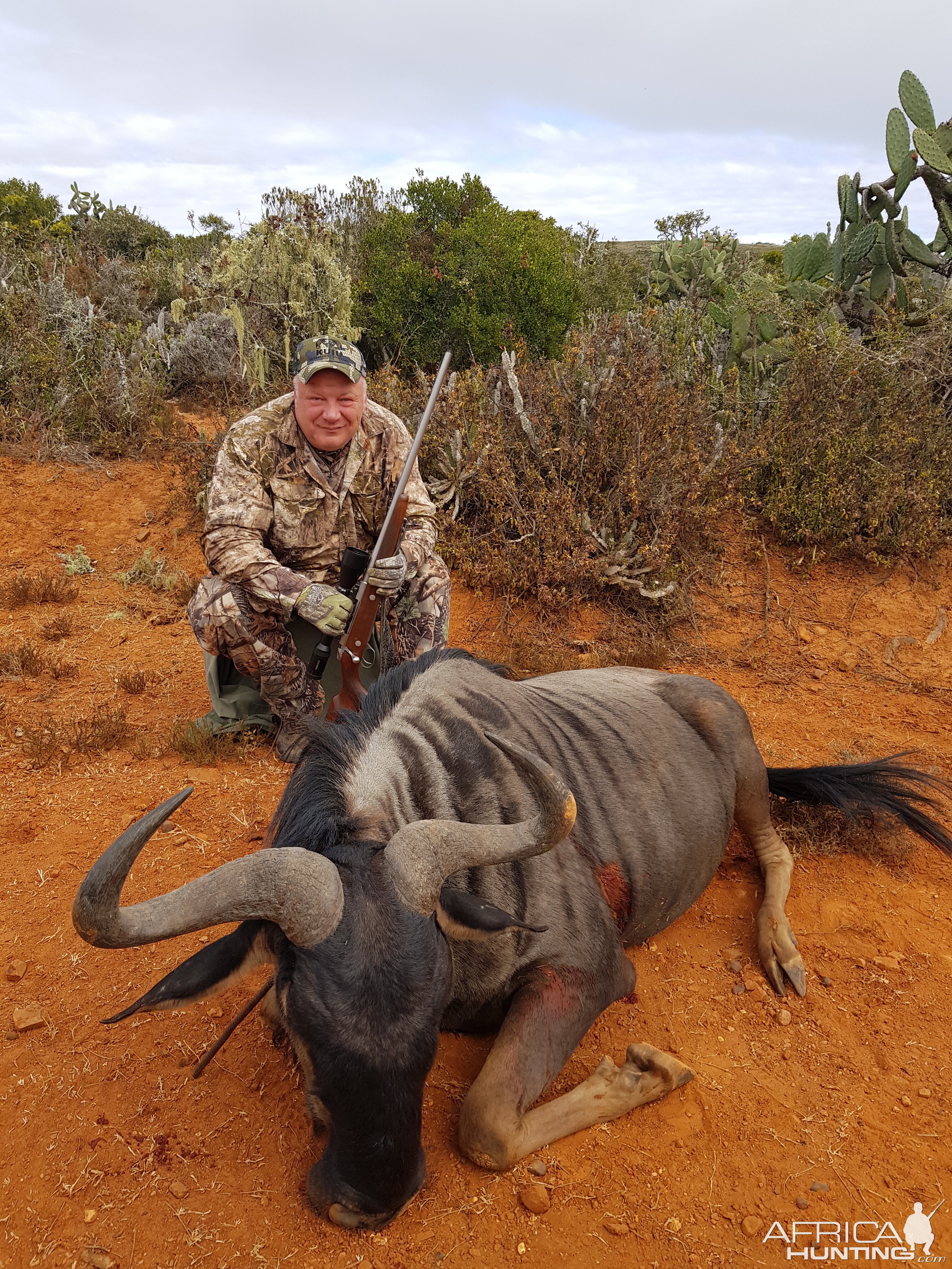 Hunting Blue Wildebeest in South Africa