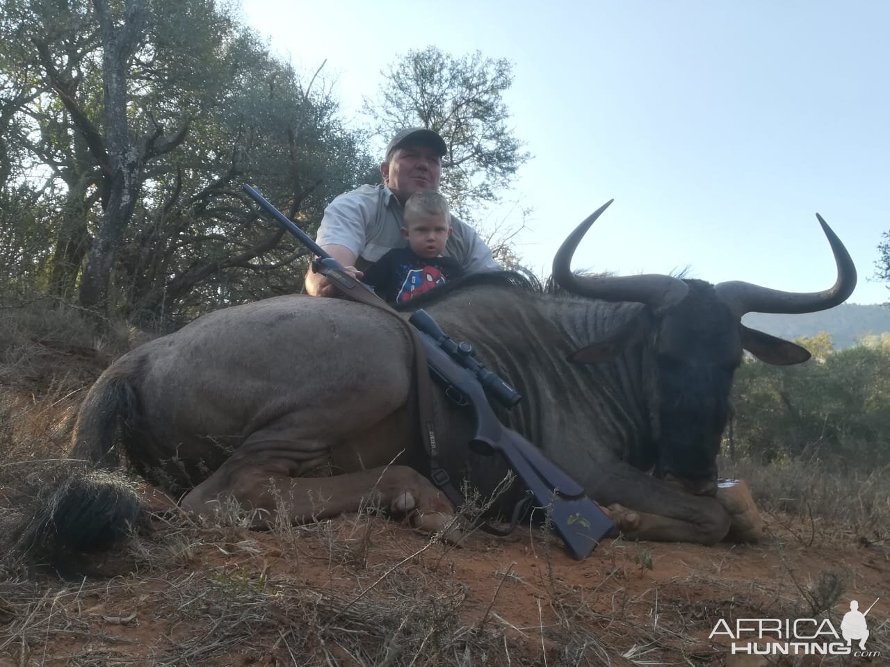 Hunting Blue Wildebeest in South Africa