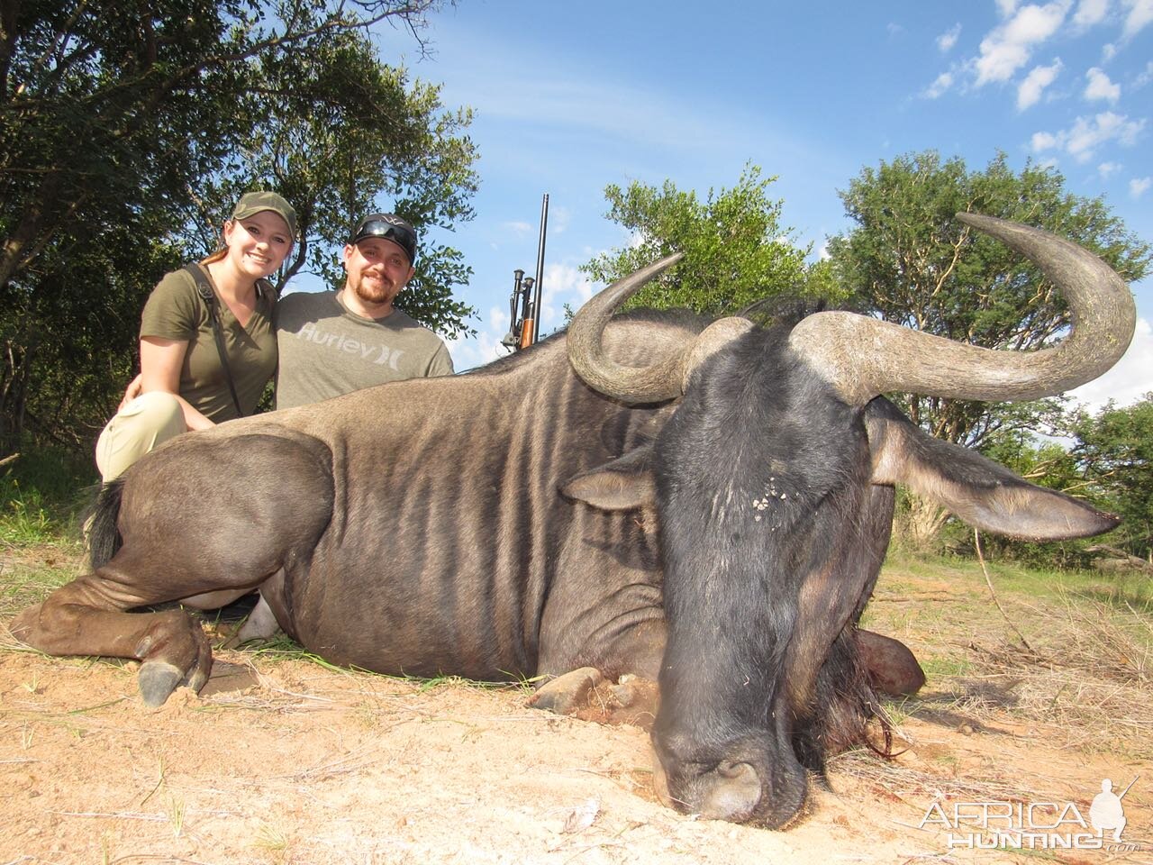 Hunting Blue Wildebeest in South Africa