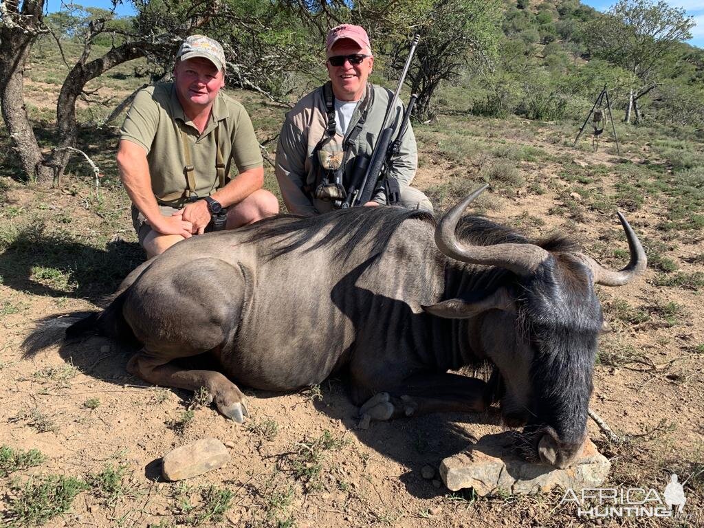 Hunting Blue Wildebeest in South Africa