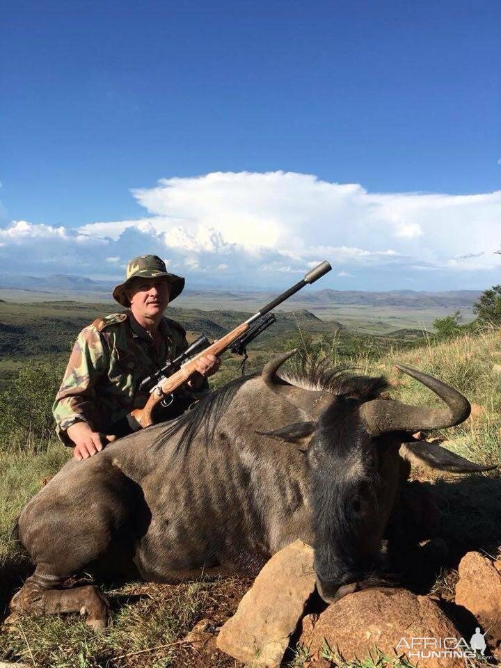 Hunting Blue Wildebeest in South Africa