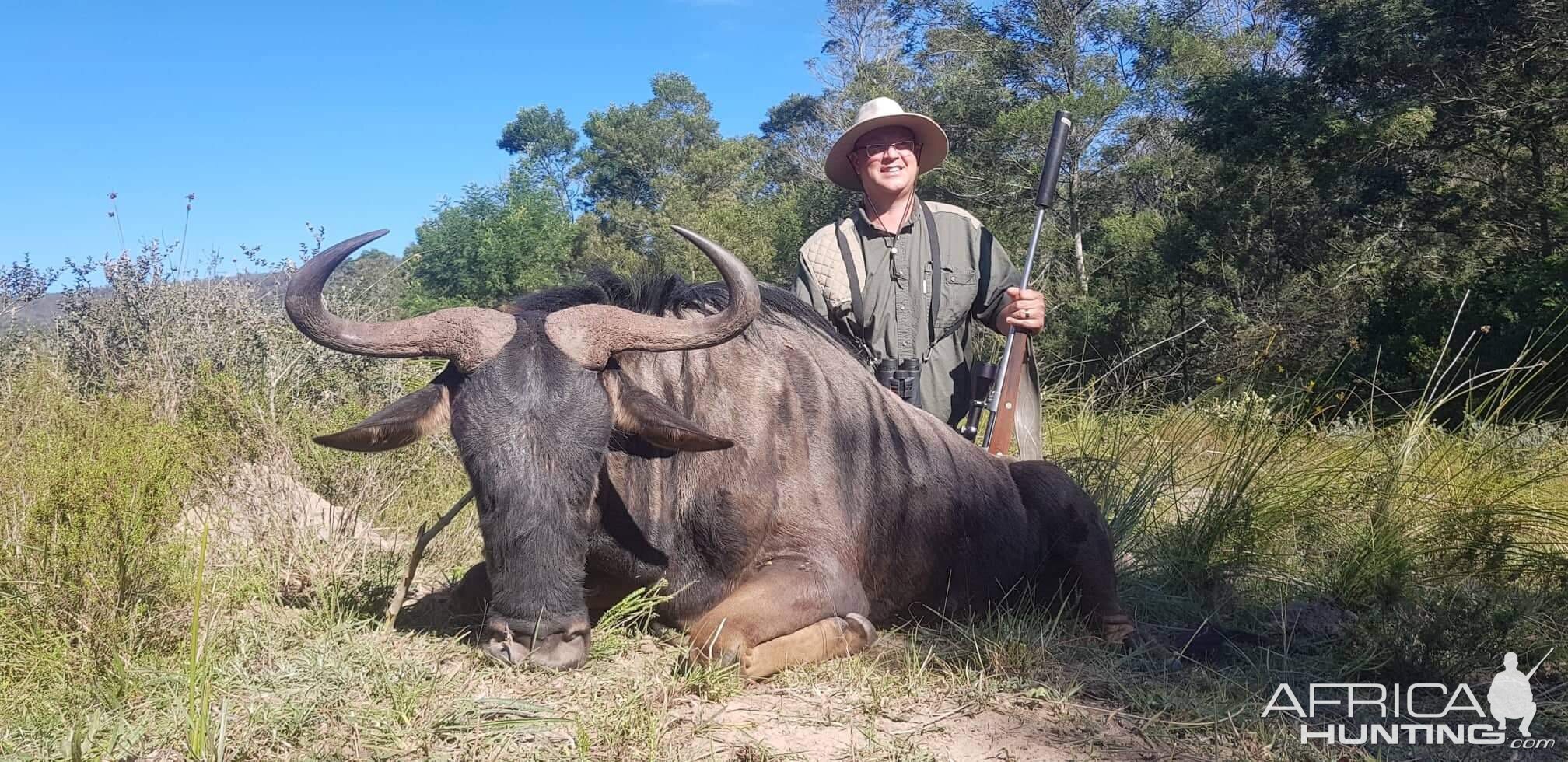 Hunting Blue Wildebeest in South Africa