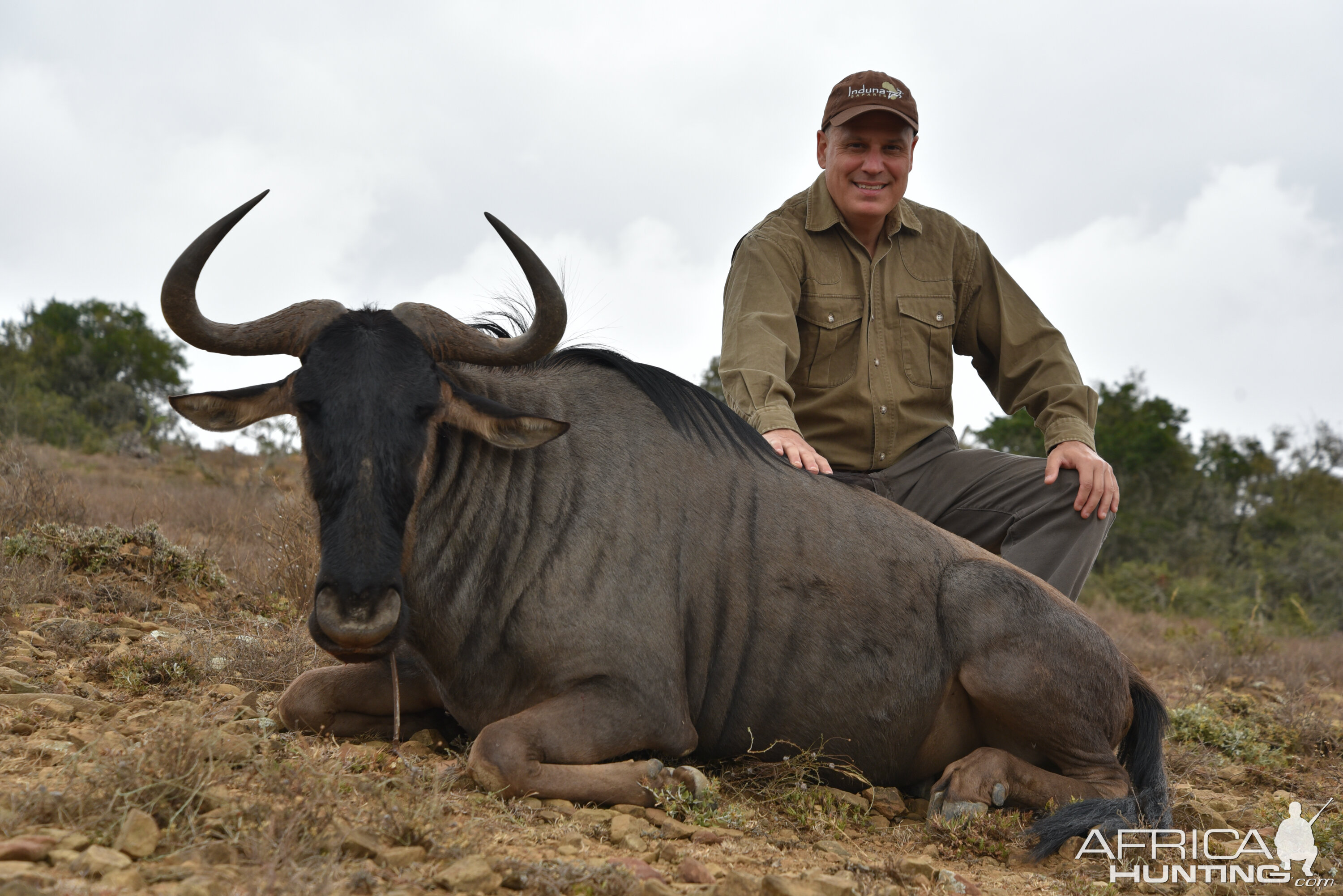 Hunting Blue Wildebeest in South Africa