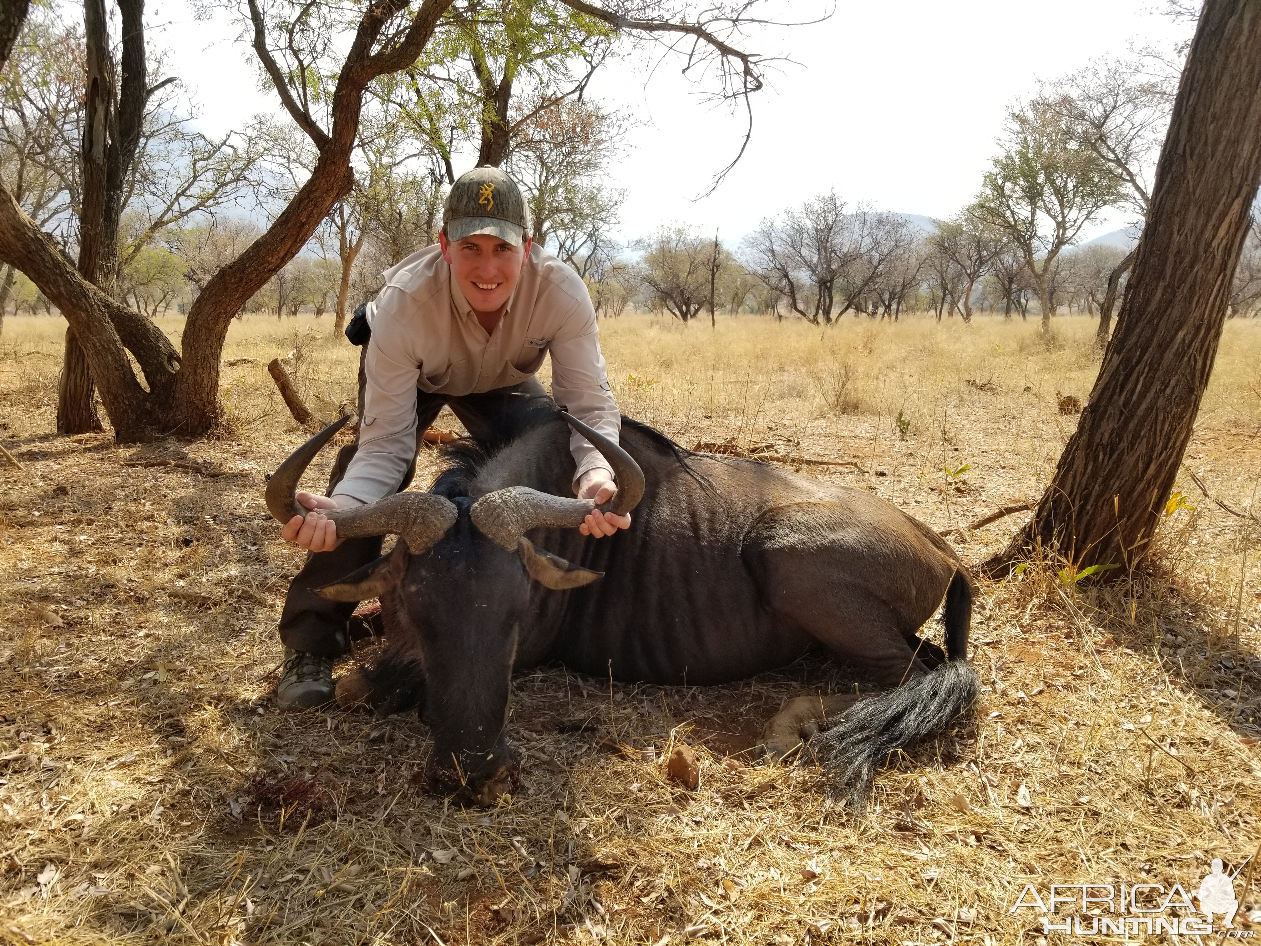 Hunting Blue Wildebeest in South Africa