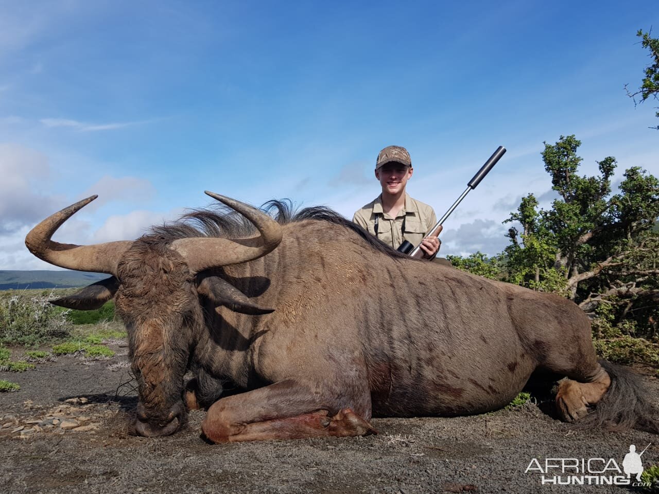 Hunting Blue Wildebeest in South Africa