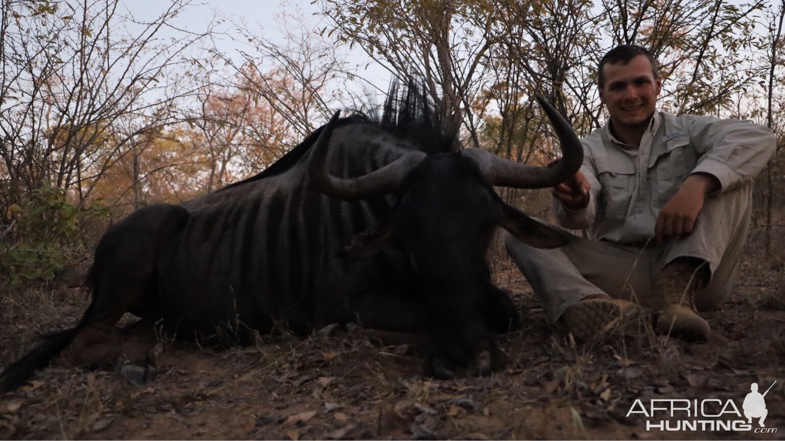 Hunting Blue Wildebeest in Zimbabwe