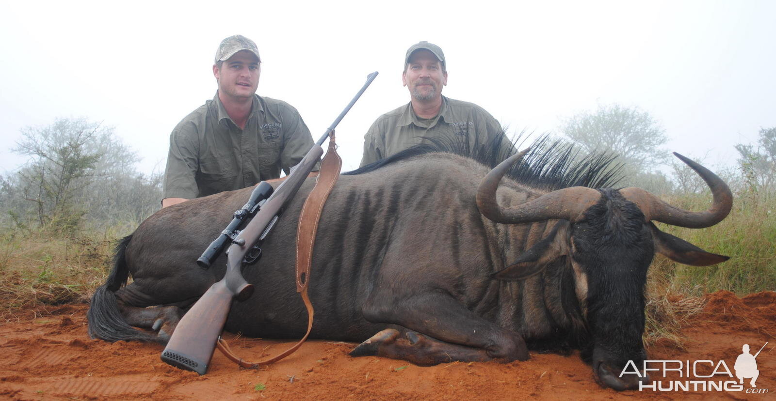 Hunting Blue Wildebeest South Africa