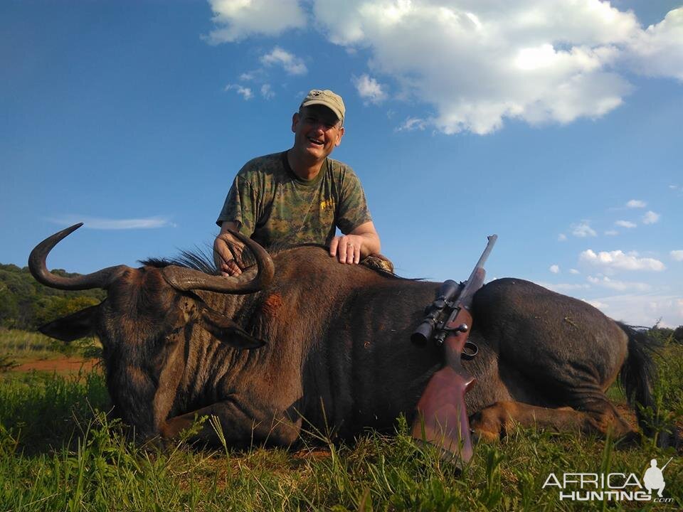 Hunting Blue Wildebeest South Africa