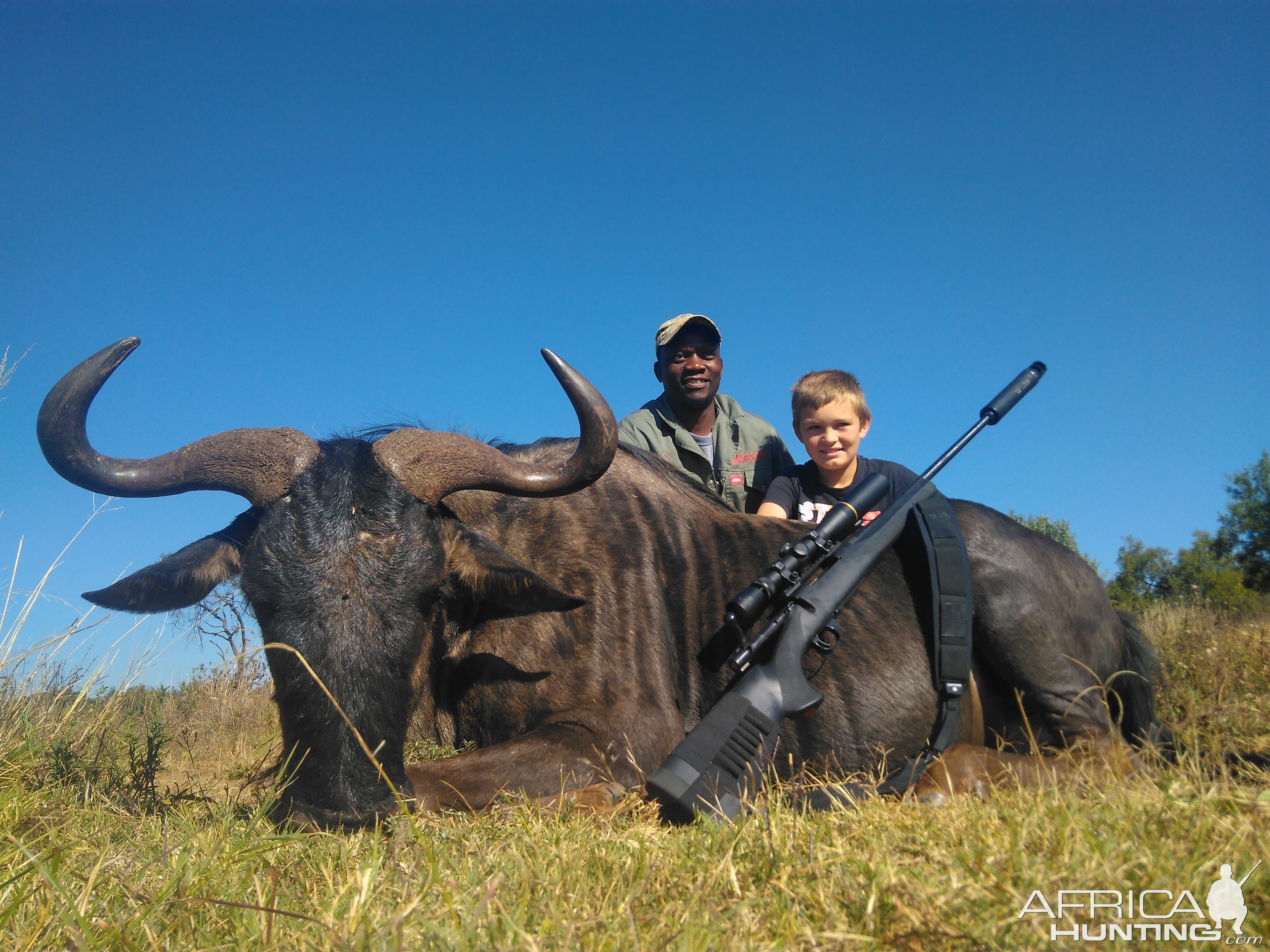 Hunting Blue Wildebeest South Africa