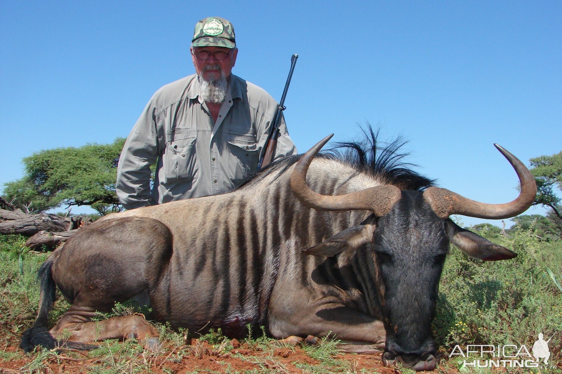 Hunting Blue Wildebeest with Wintershoek Johnny Vivier Safaris in SA