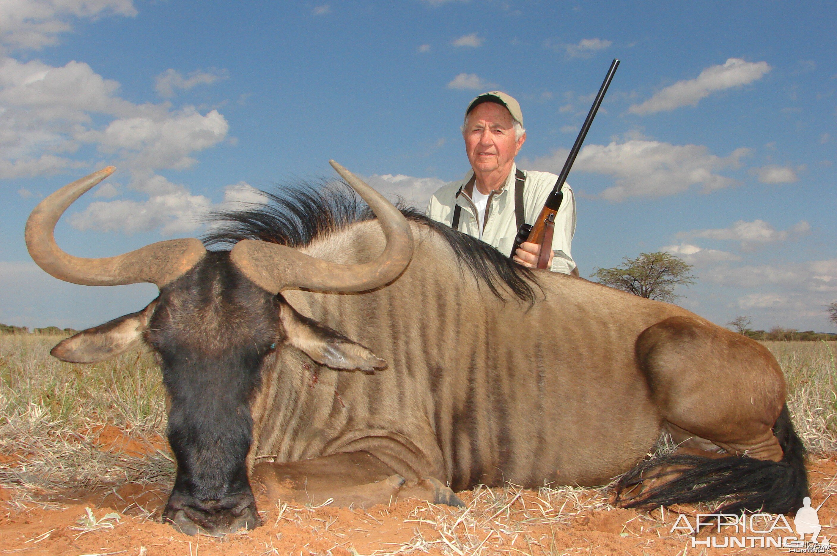 Hunting Blue Wildebeest with Wintershoek Johnny Vivier Safaris in SA