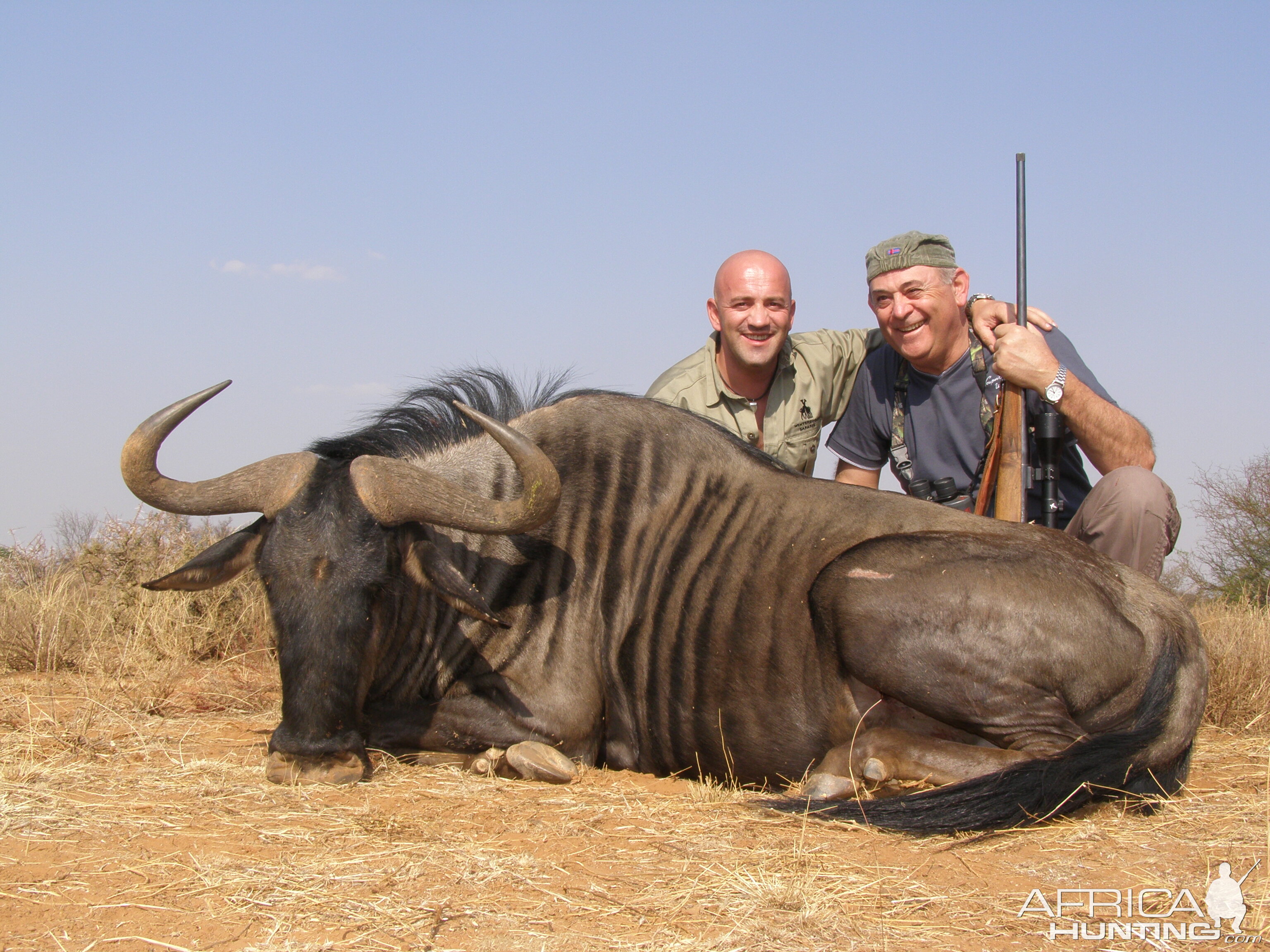 Hunting Blue Wildebeest with Wintershoek Johnny Vivier Safaris in SA