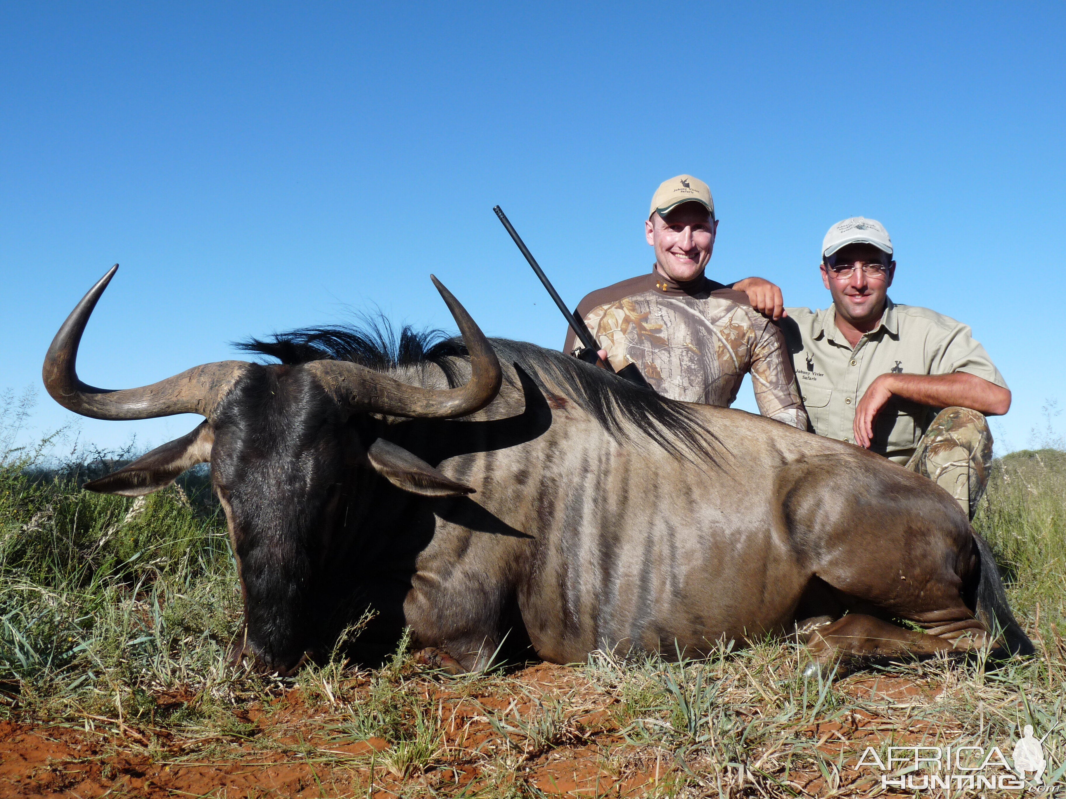 Hunting Blue Wildebeest with Wintershoek Johnny Vivier Safaris in SA