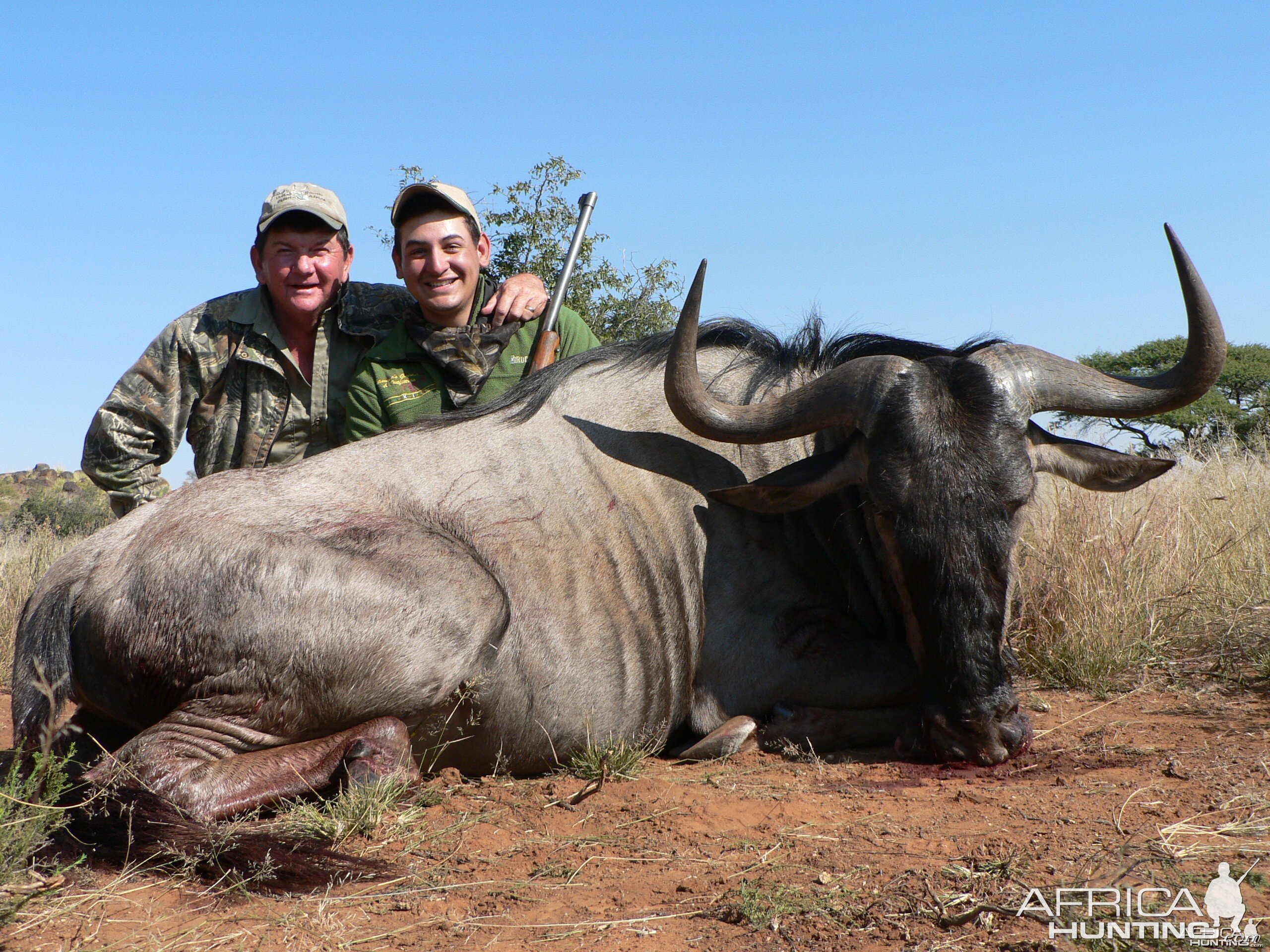 Hunting Blue Wildebeest with Wintershoek Johnny Vivier Safaris in SA