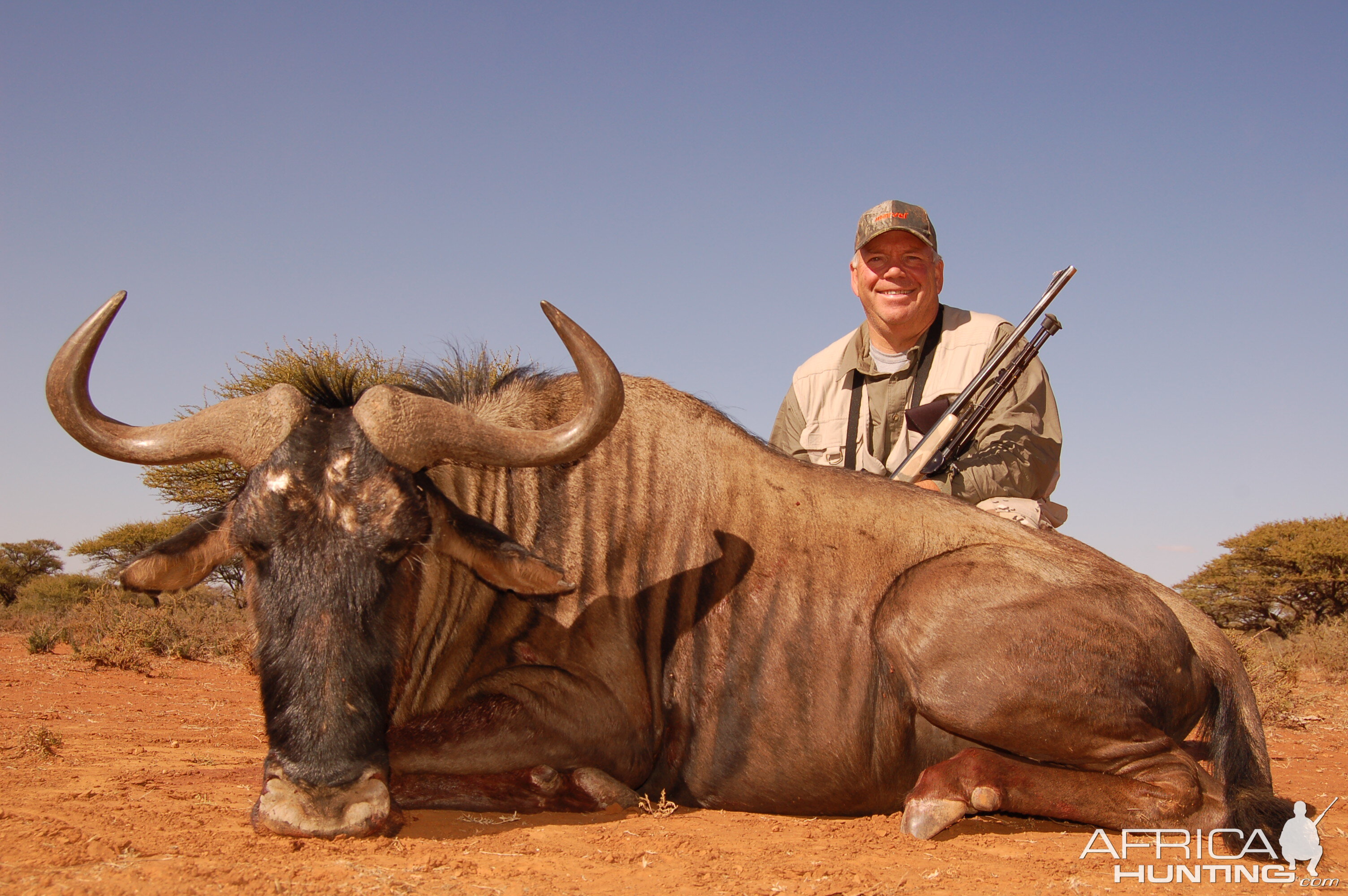 Hunting Blue Wildebeest with Wintershoek Johnny Vivier Safaris in SA